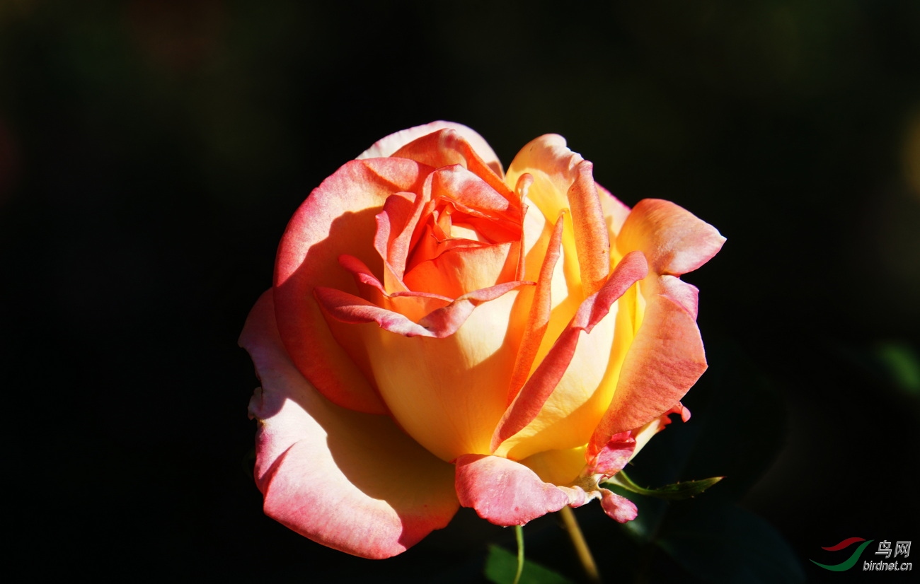 DSC09179.JPG