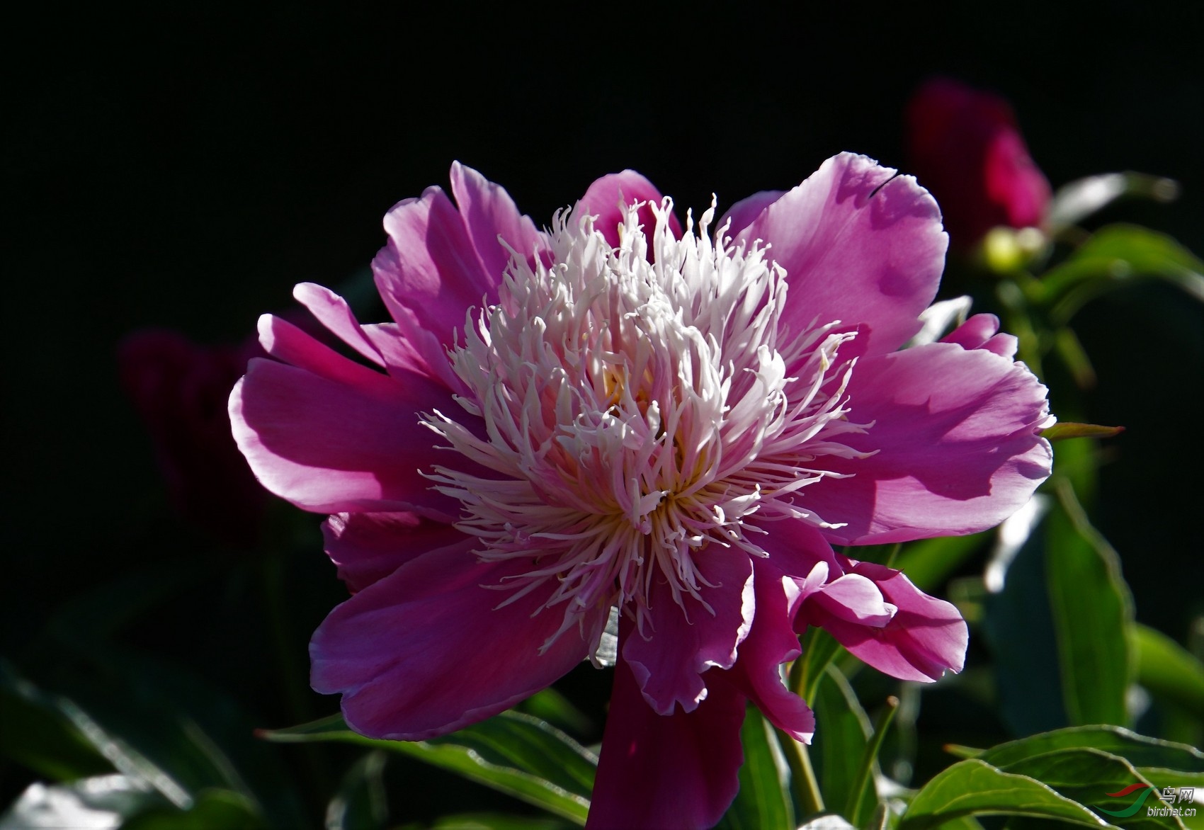 DSC03547.JPG
