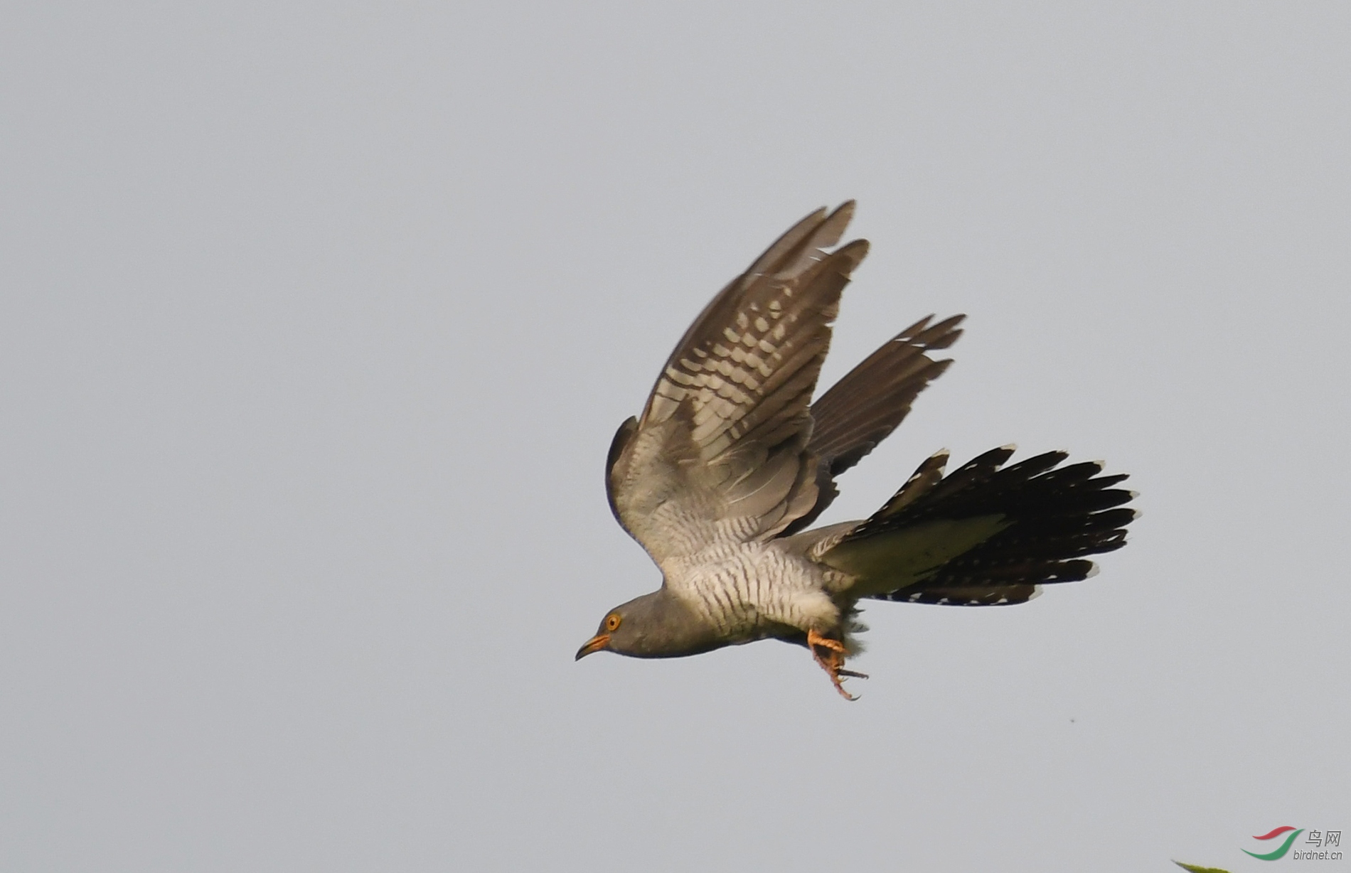 ������Ӱ 12107����.jpg