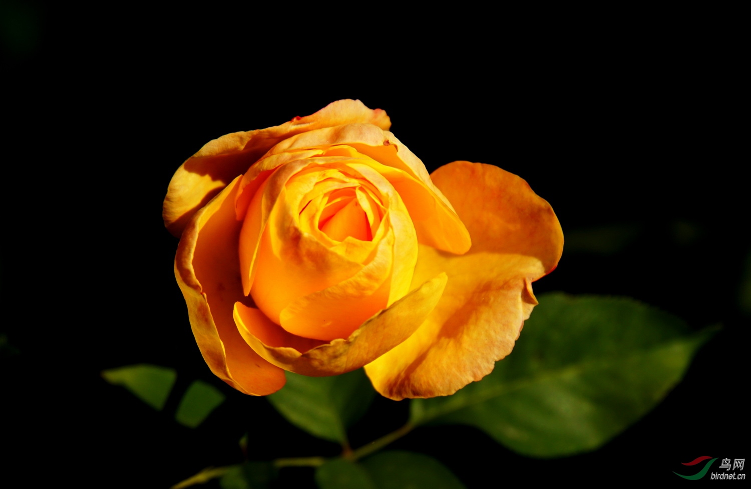 DSC09889.JPG