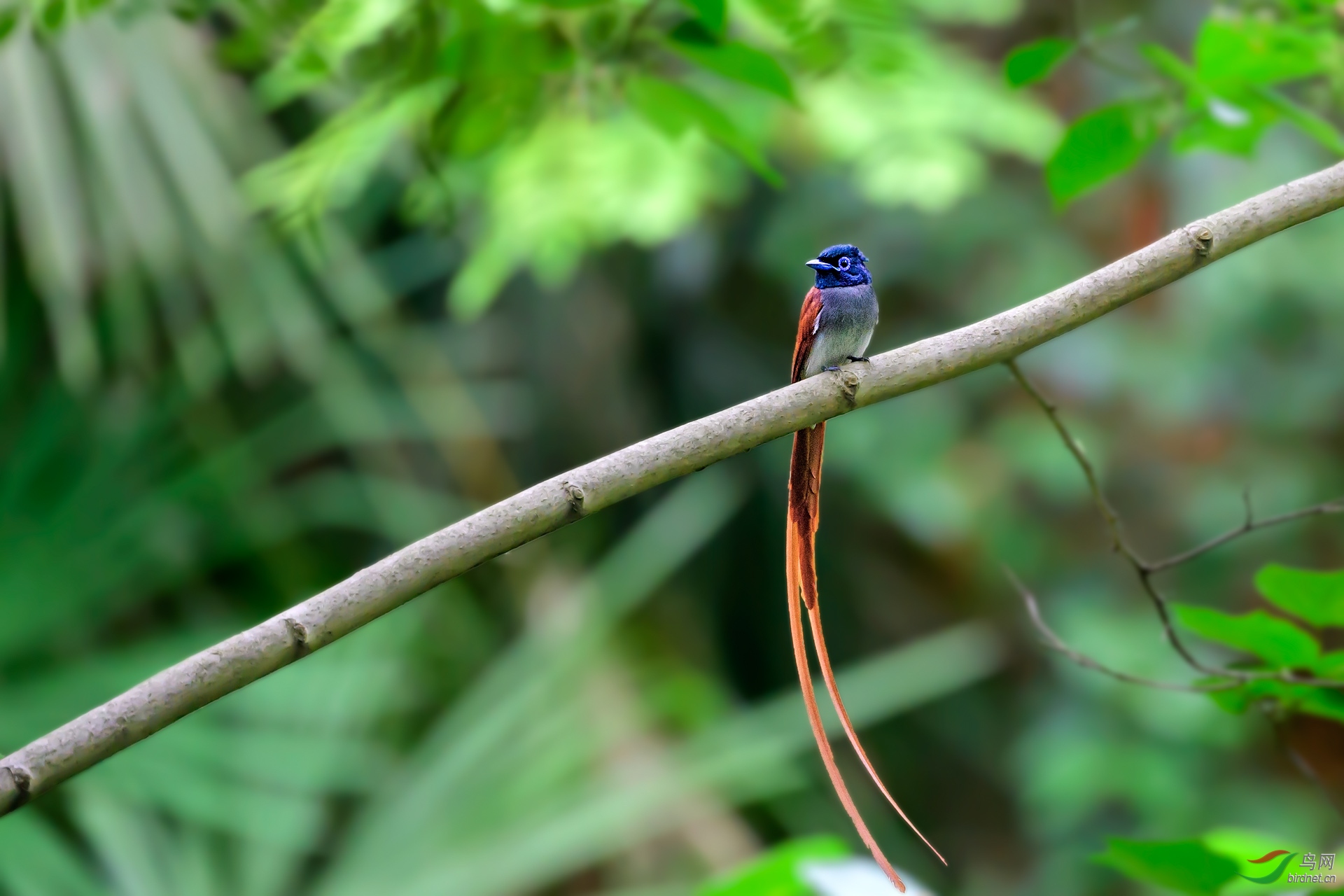 DSC_8494С.jpg