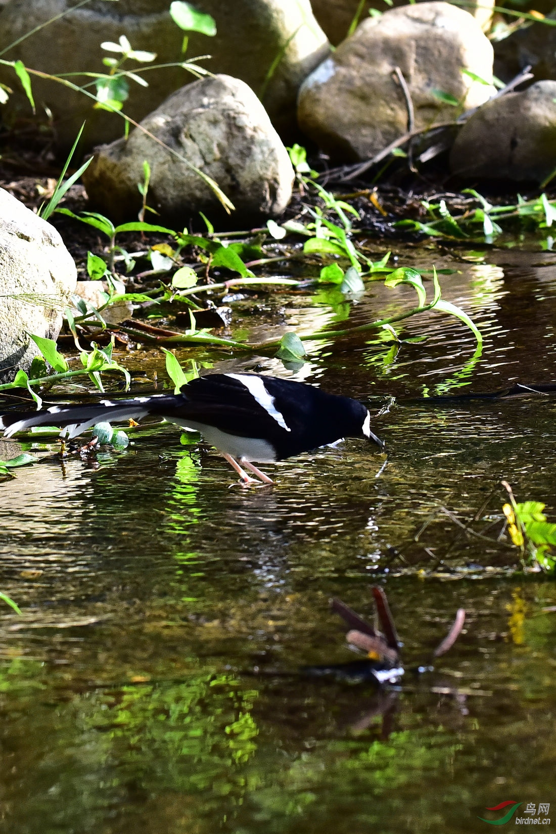 DSC_0255.JPG