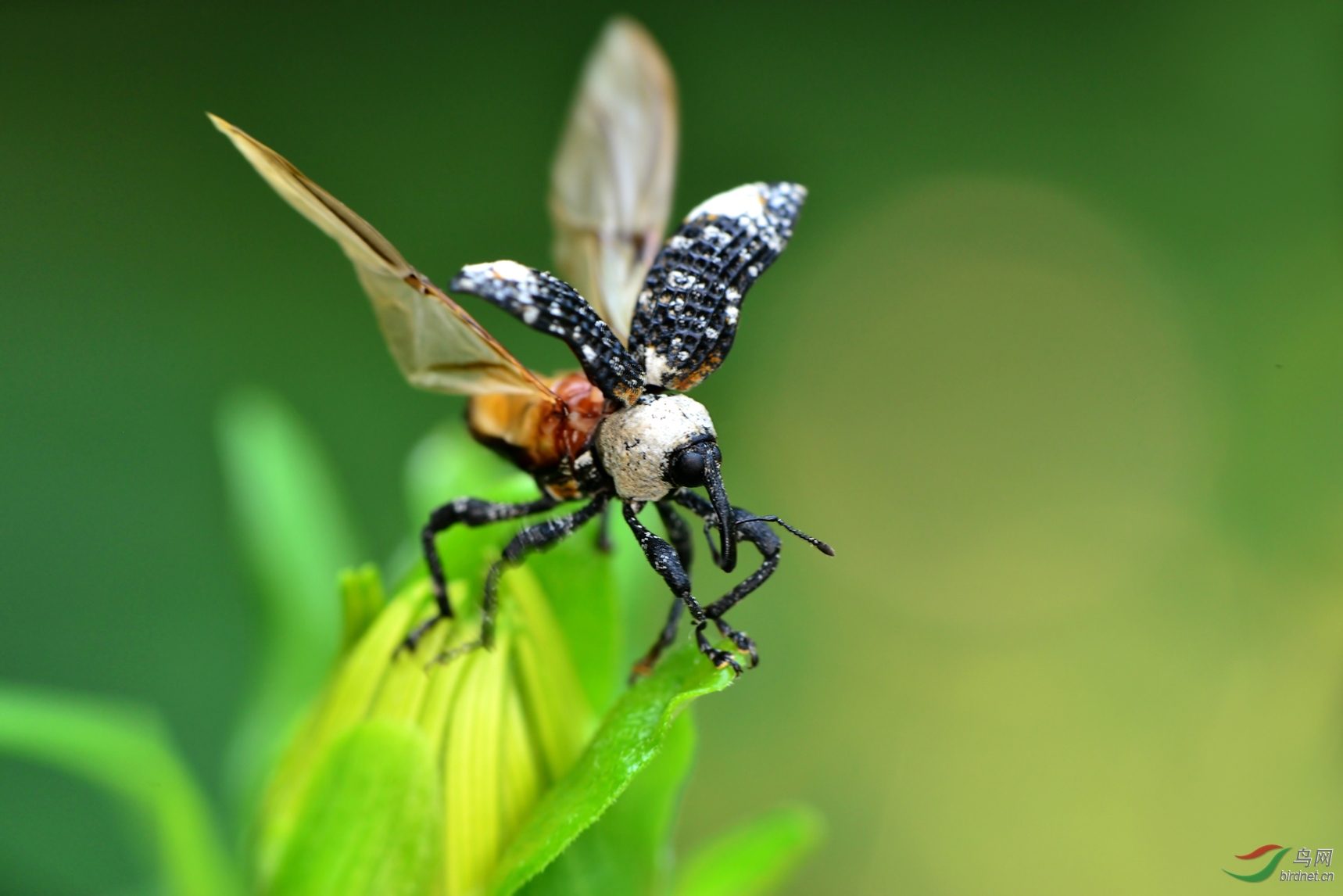 DSC_8510 ��������.jpg