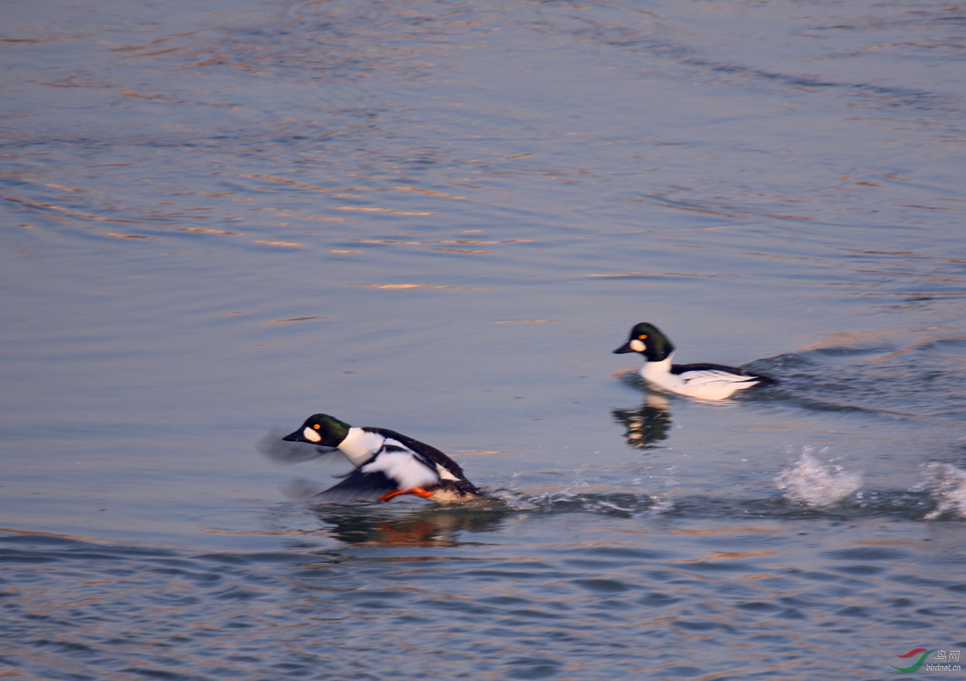 2019-01-26 117_����.jpg