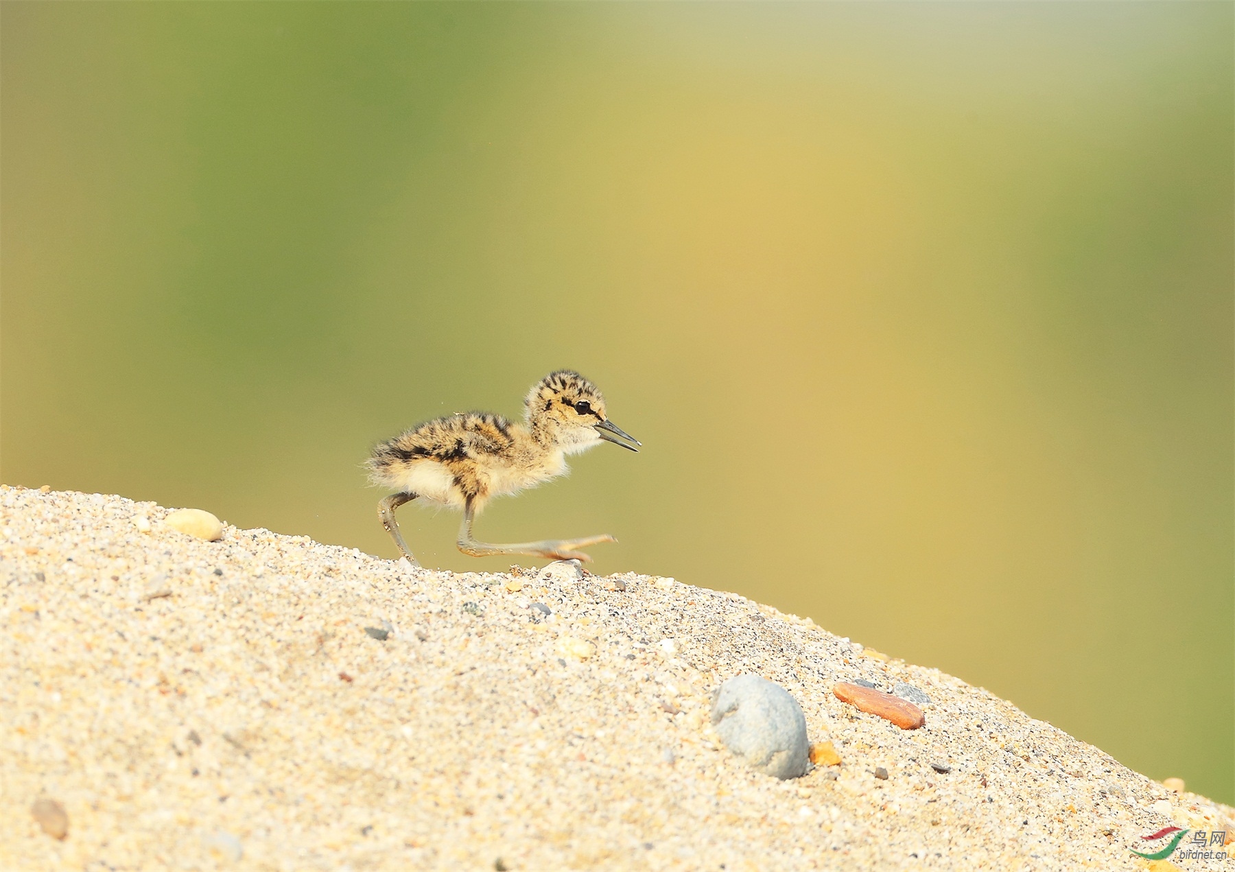 2 - ����.JPG