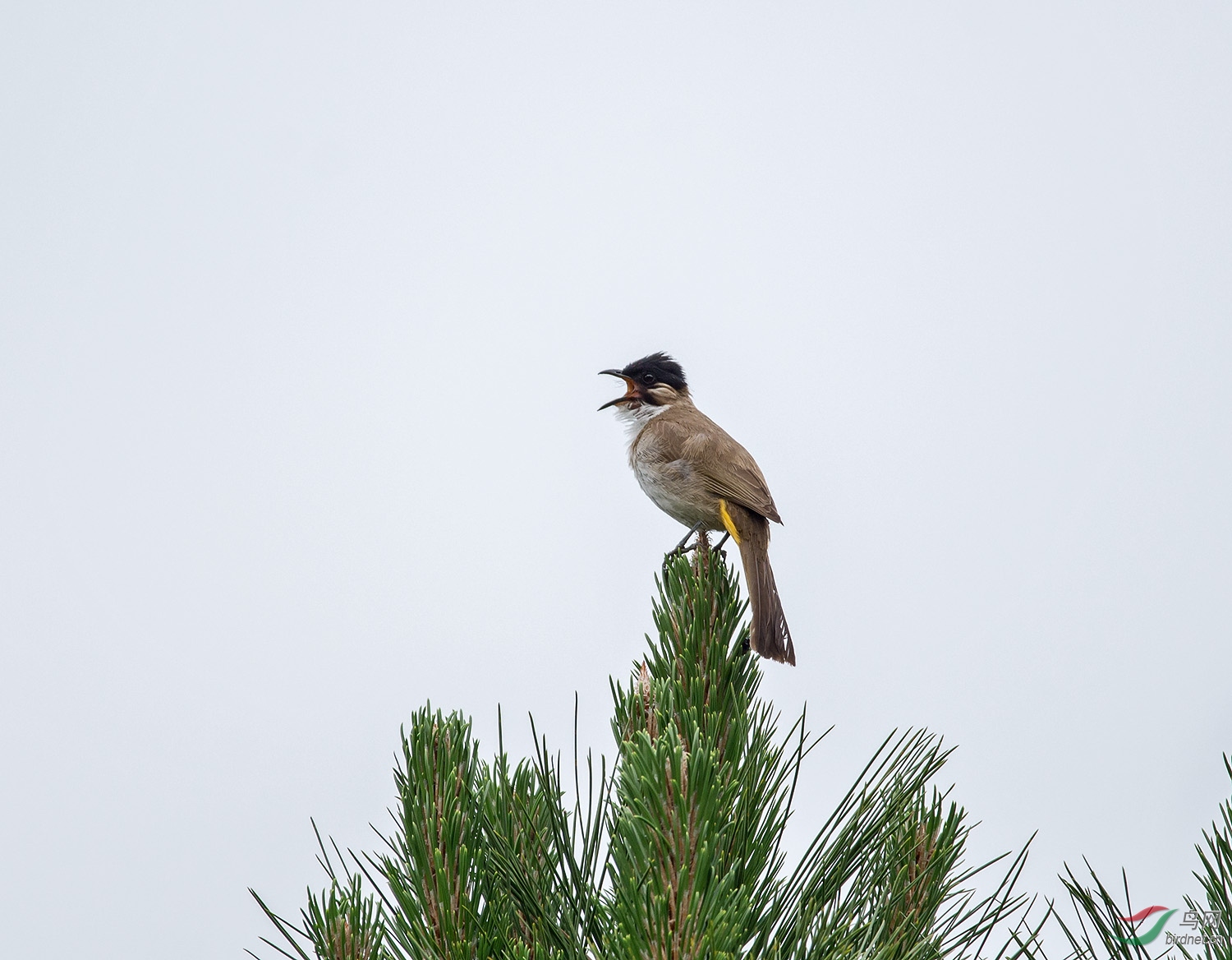 DSC_7045.jpg