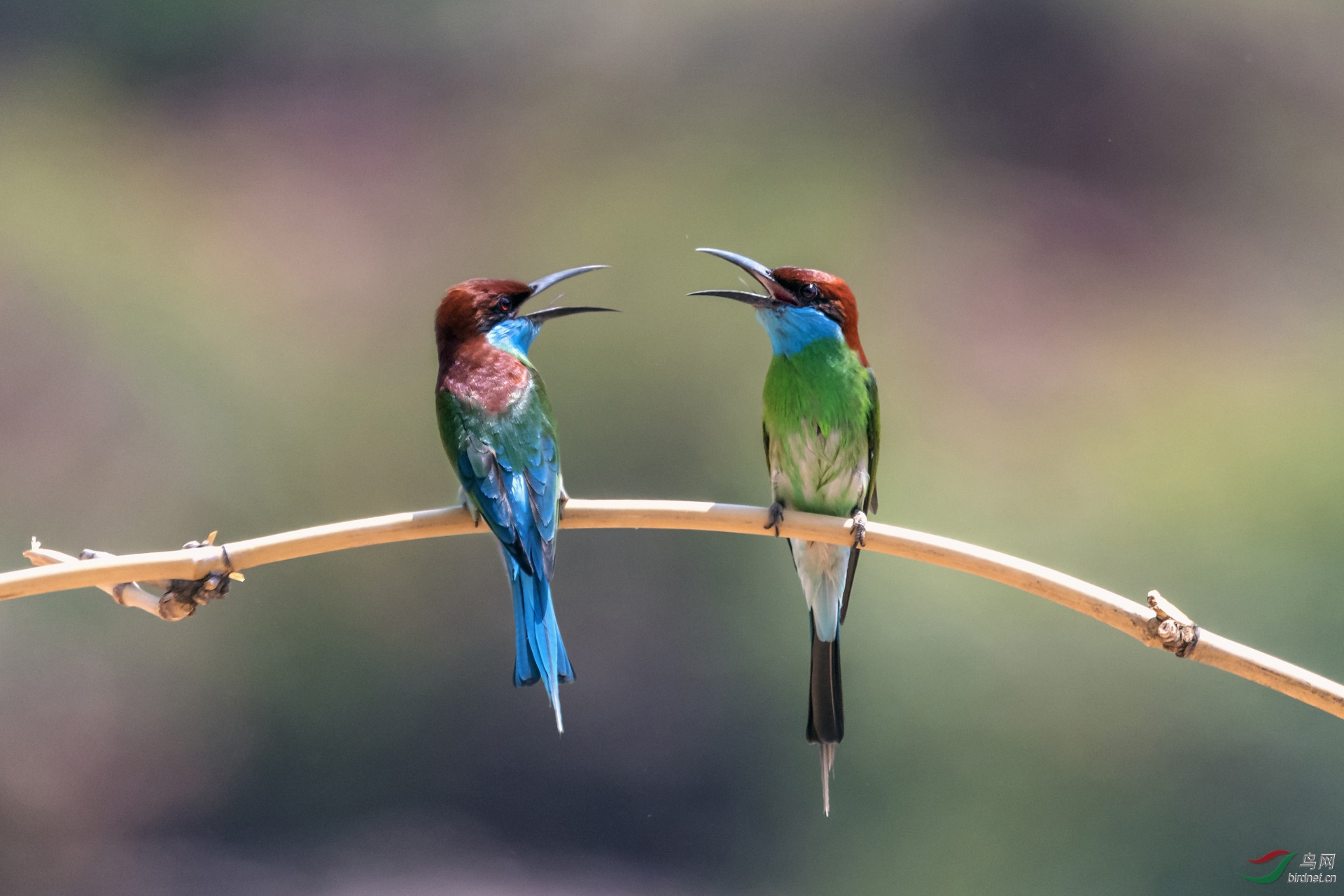 _AUU1364.1381�Ը�(20.5.23).jpg