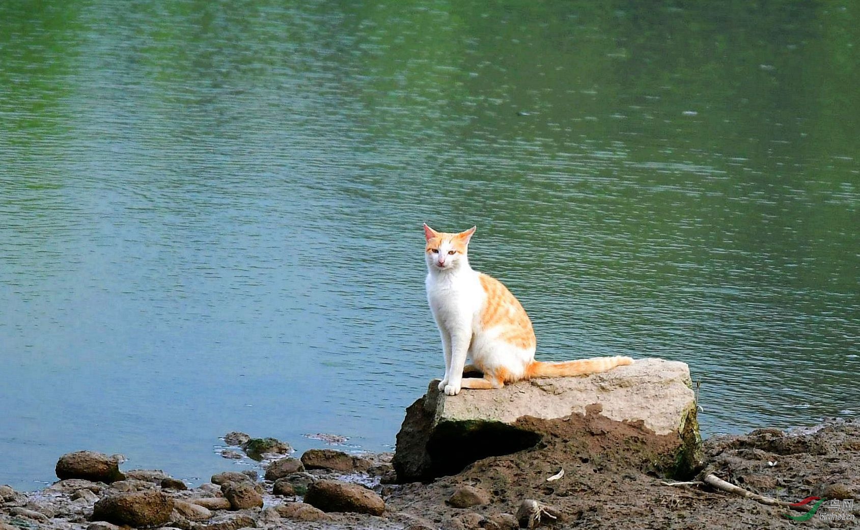 DSC_5456_����.jpg