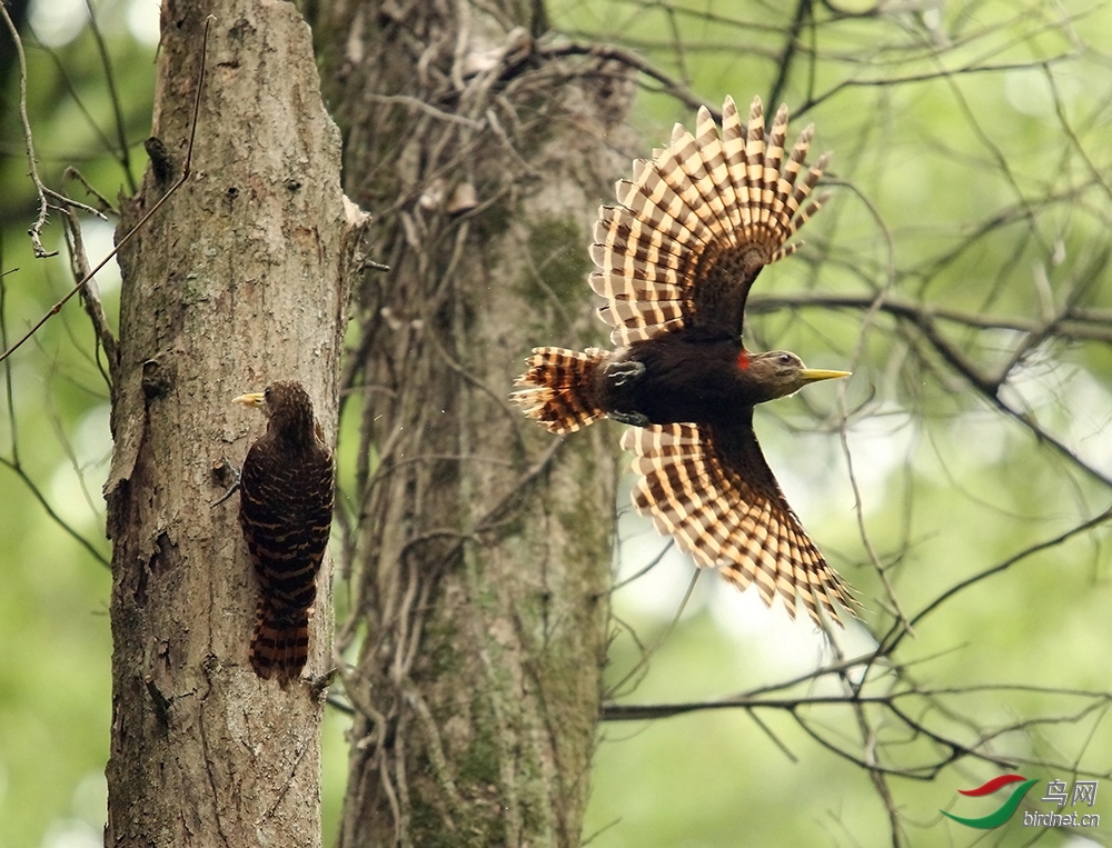 �ڱ� ��ʦ�����ڸ���ʡ������.jpg