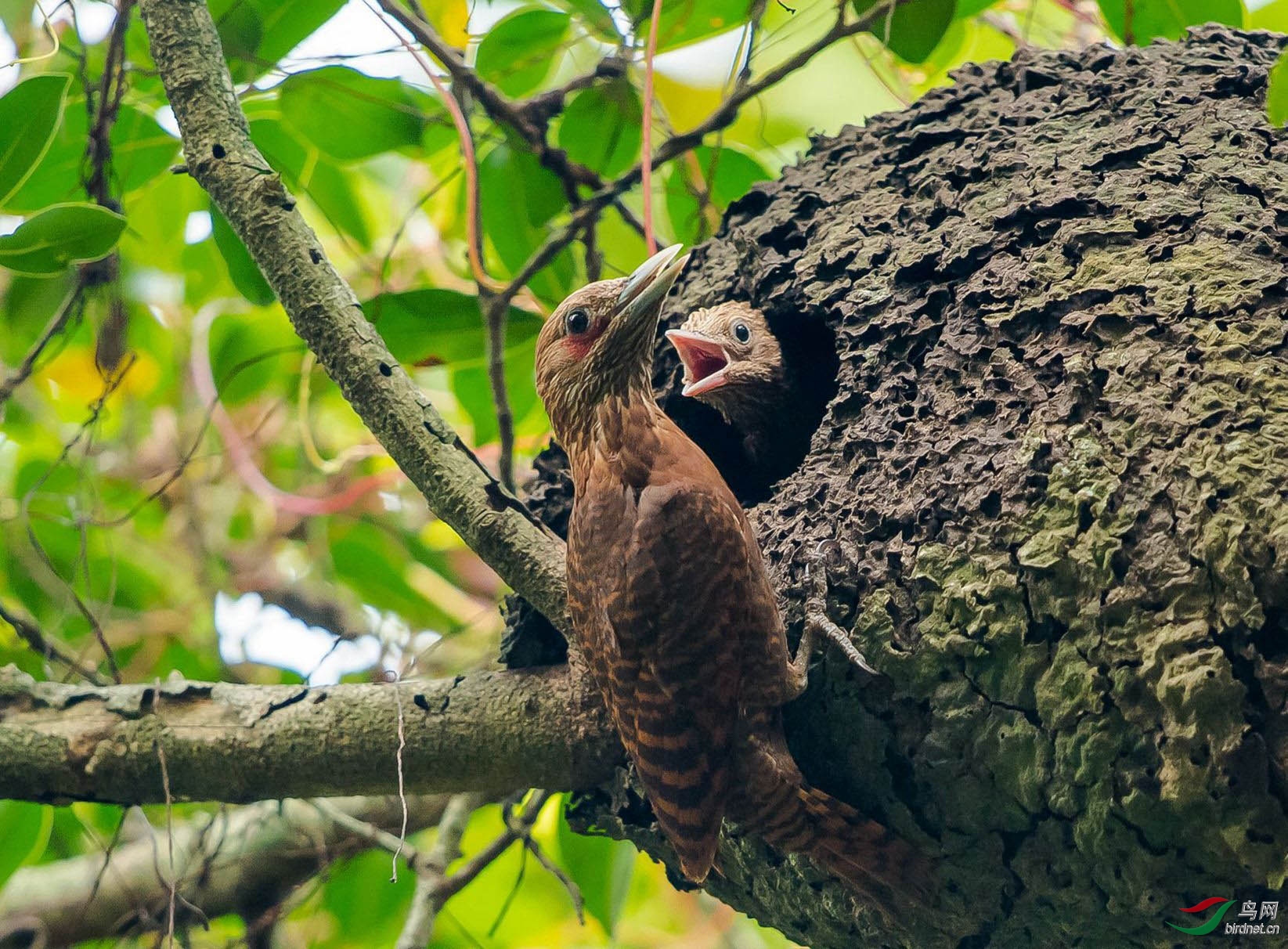 ֱ���� ��ʦ���㣨��500.jpg