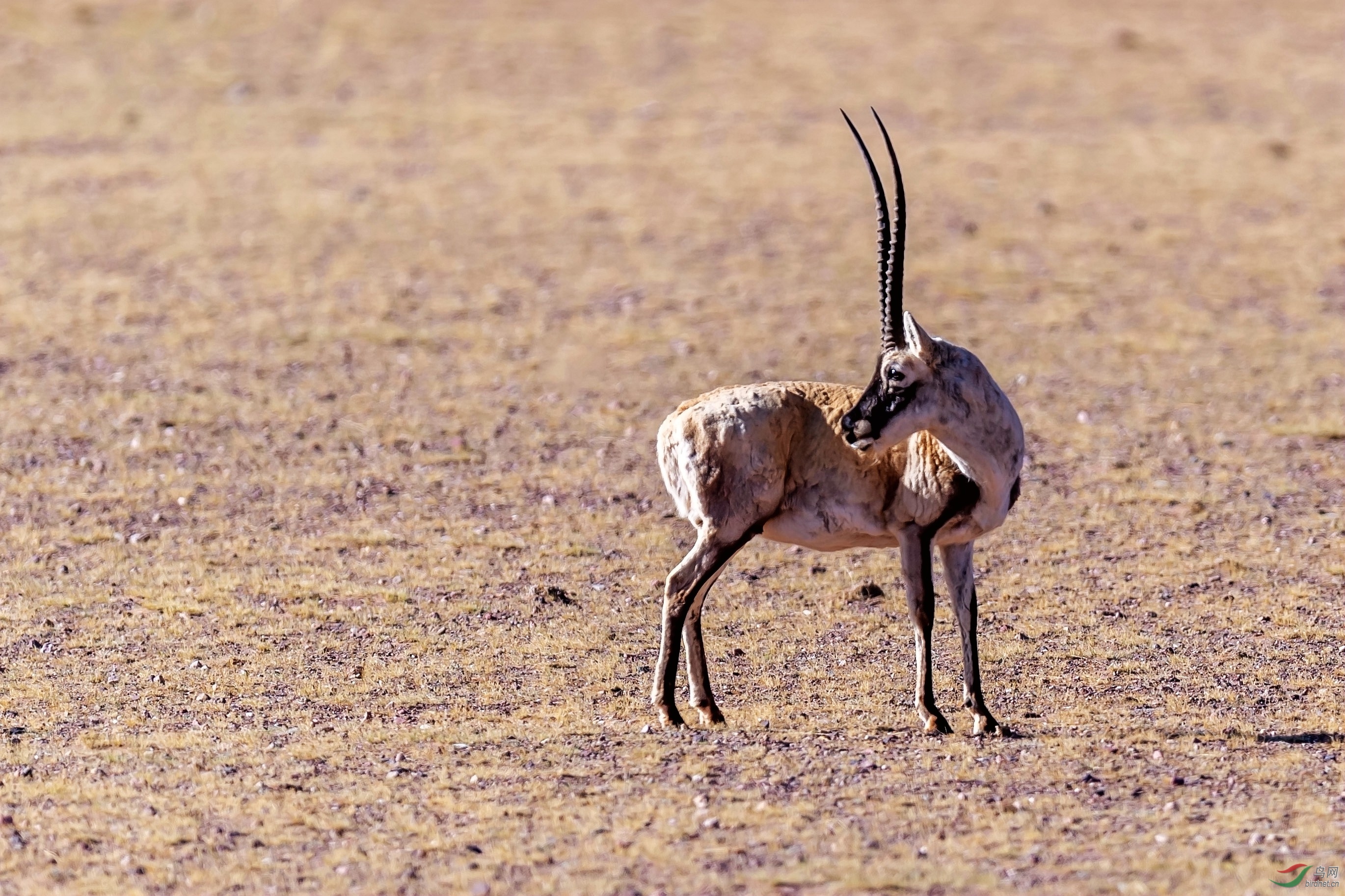 _DSC5011.jpgps4.jpg8.jpg