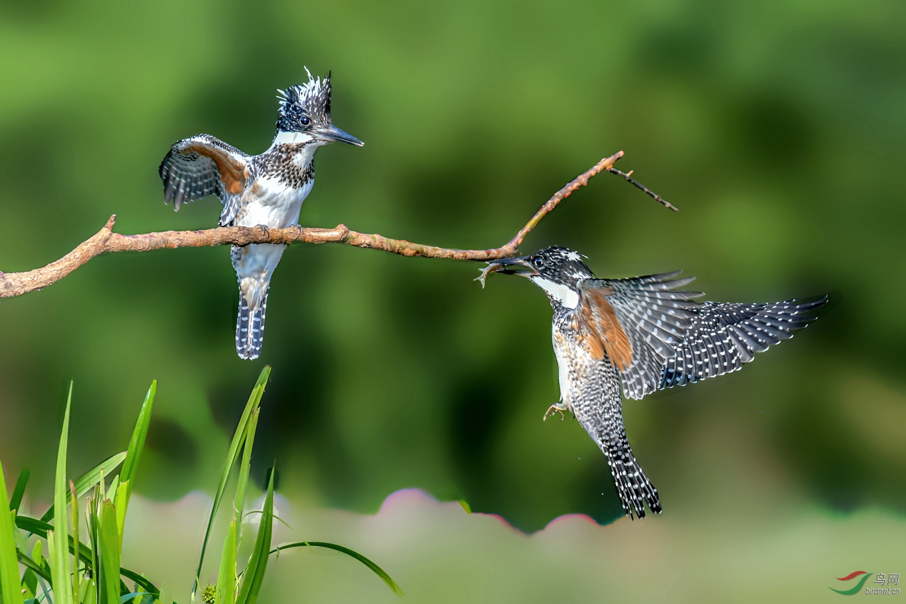 DSC_0689_����.jpg
