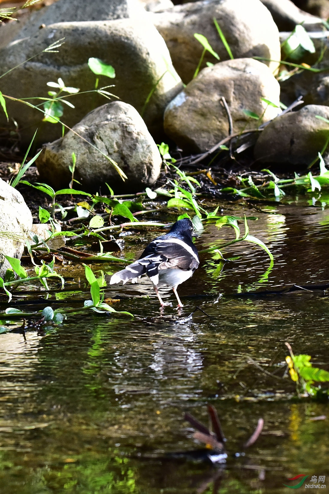 DSC_0262.JPG