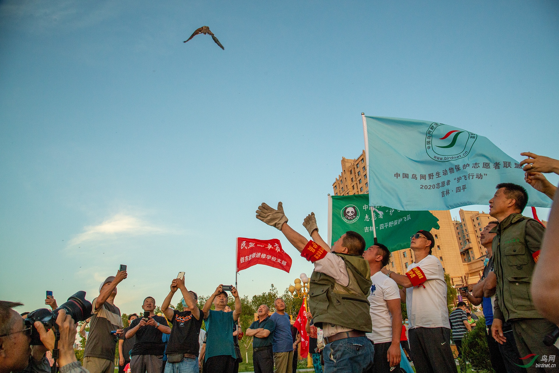 15��Ұ��־Ը�ߺ��ֳ����ڿ����ɹ��ŷ����һֻ����ȫ���������Ȼ���ֳ�һƬ������