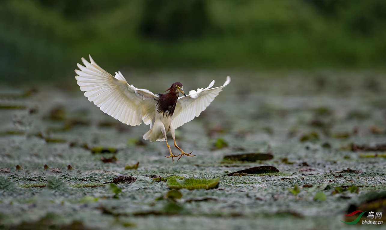 DSC_5473 - ����.jpg