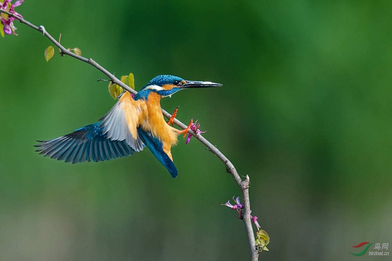 XCG1_7049 - ����.jpg