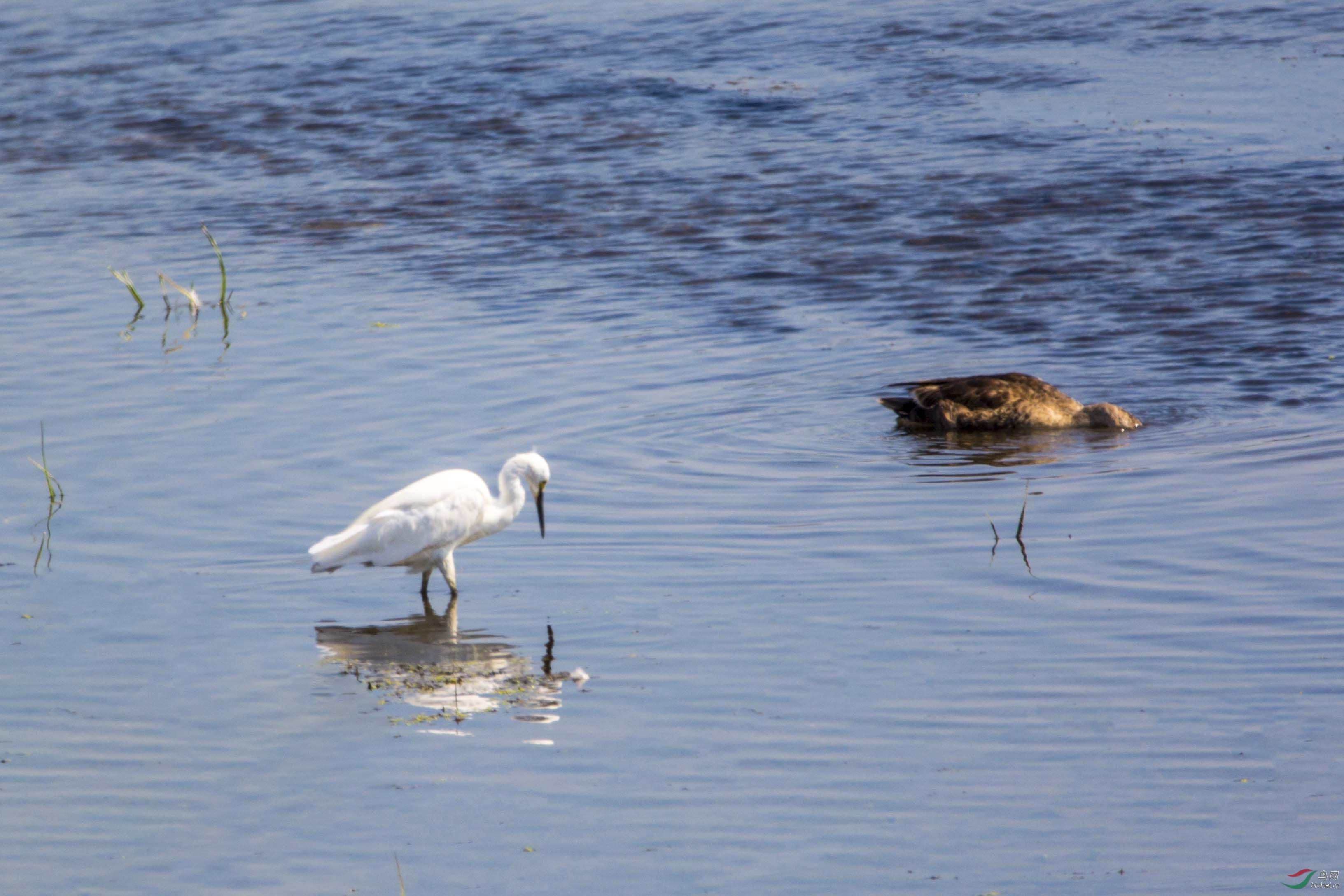 ��Ӱ����2