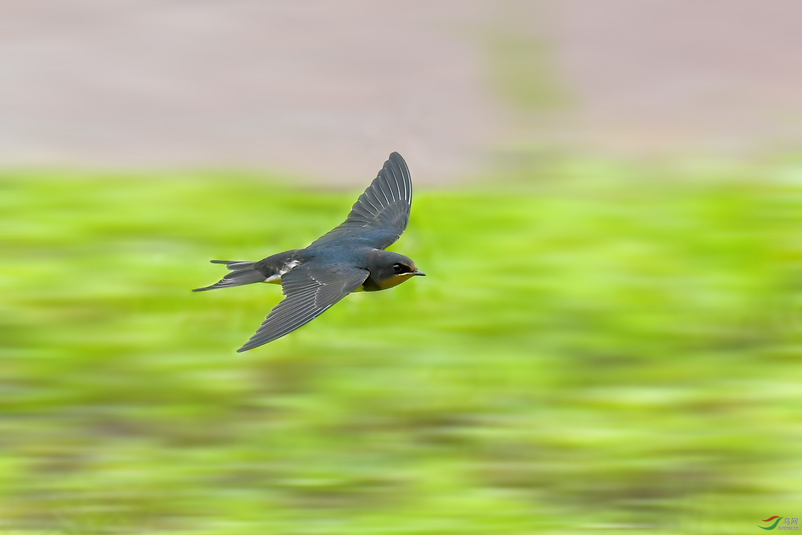 JJY_2676-1.jpg