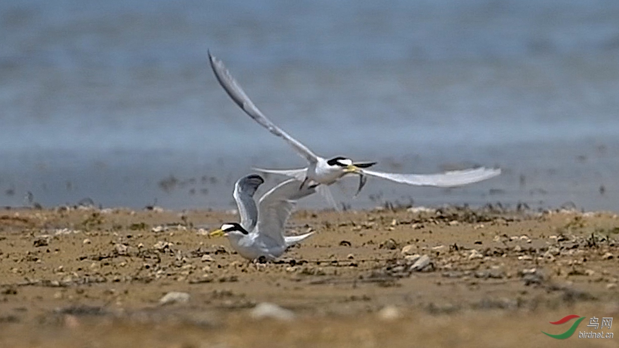 42 �� ����ҰѼ��.00_00_40_14.Still001.jpg