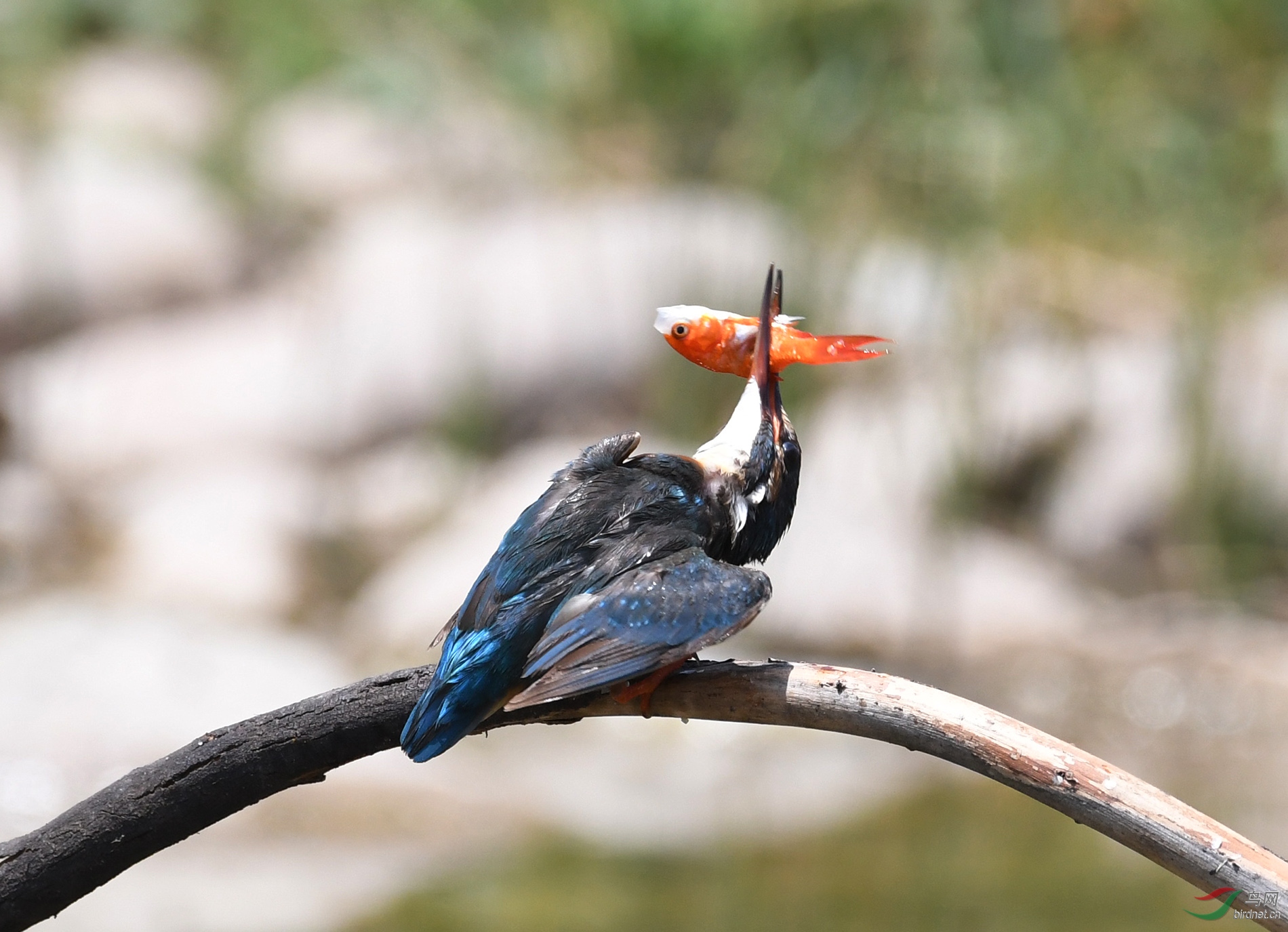 ������Ӱ 1612����.jpg