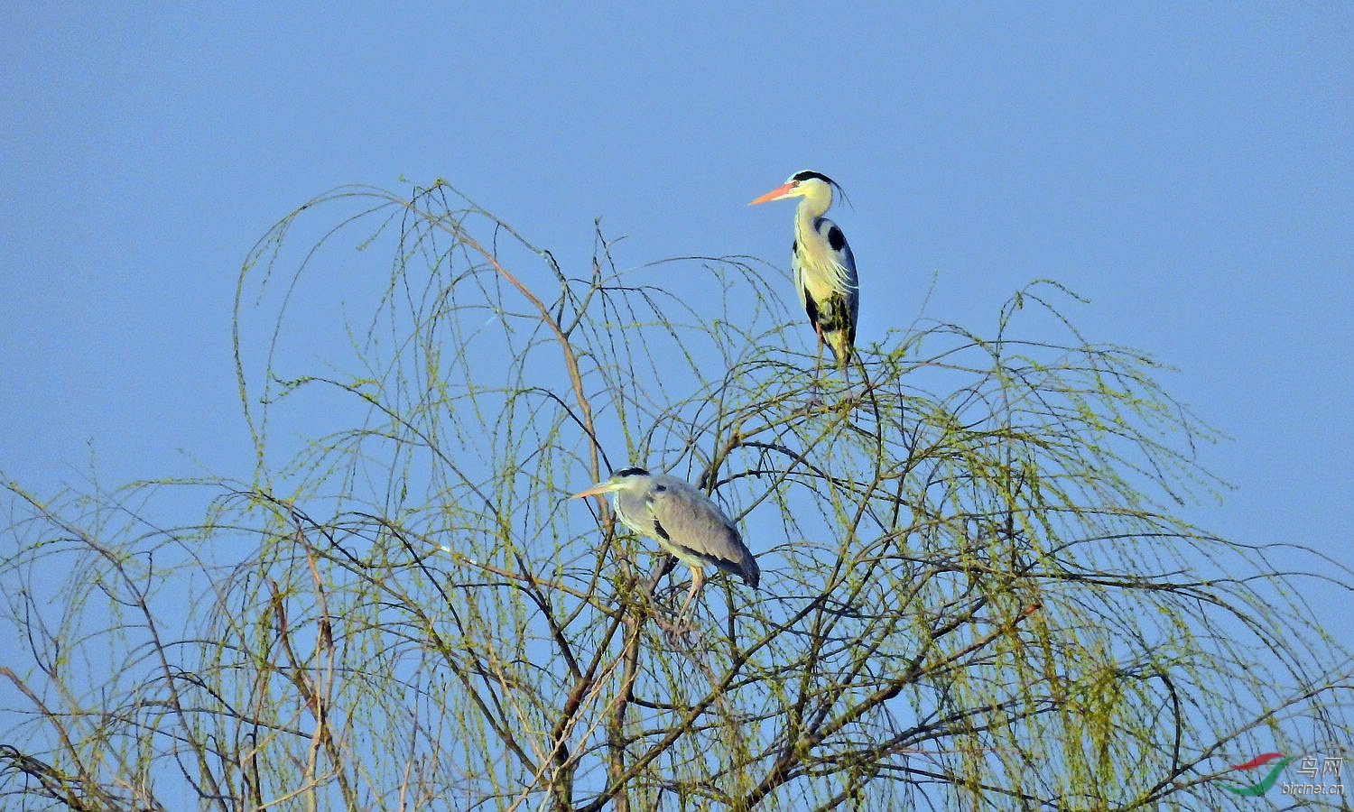 DSCN4889.JPG