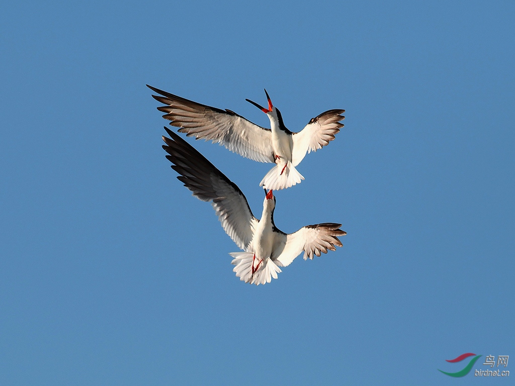 ��Ƭ 181 - ����.jpg