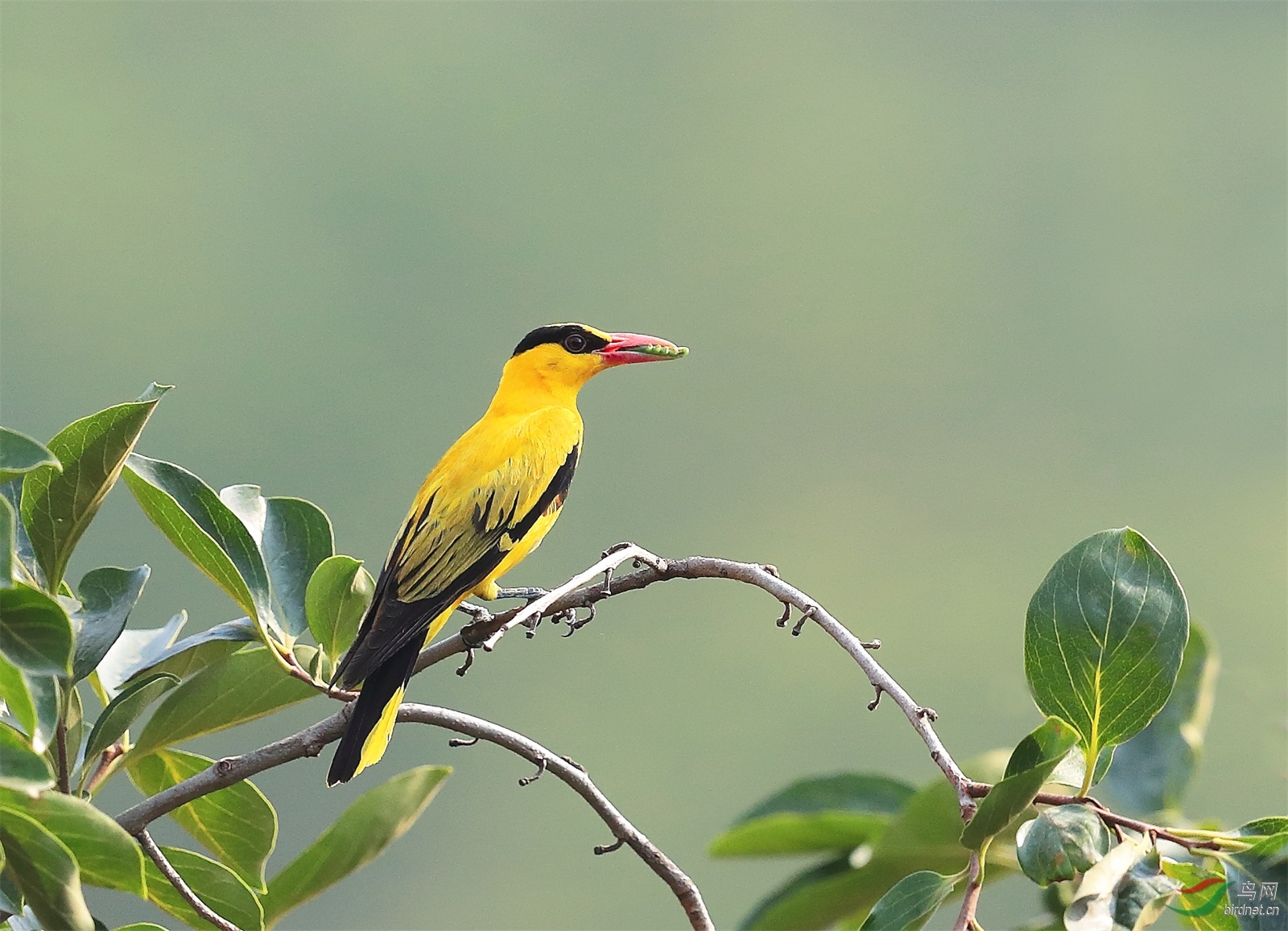 22 - ����.jpg