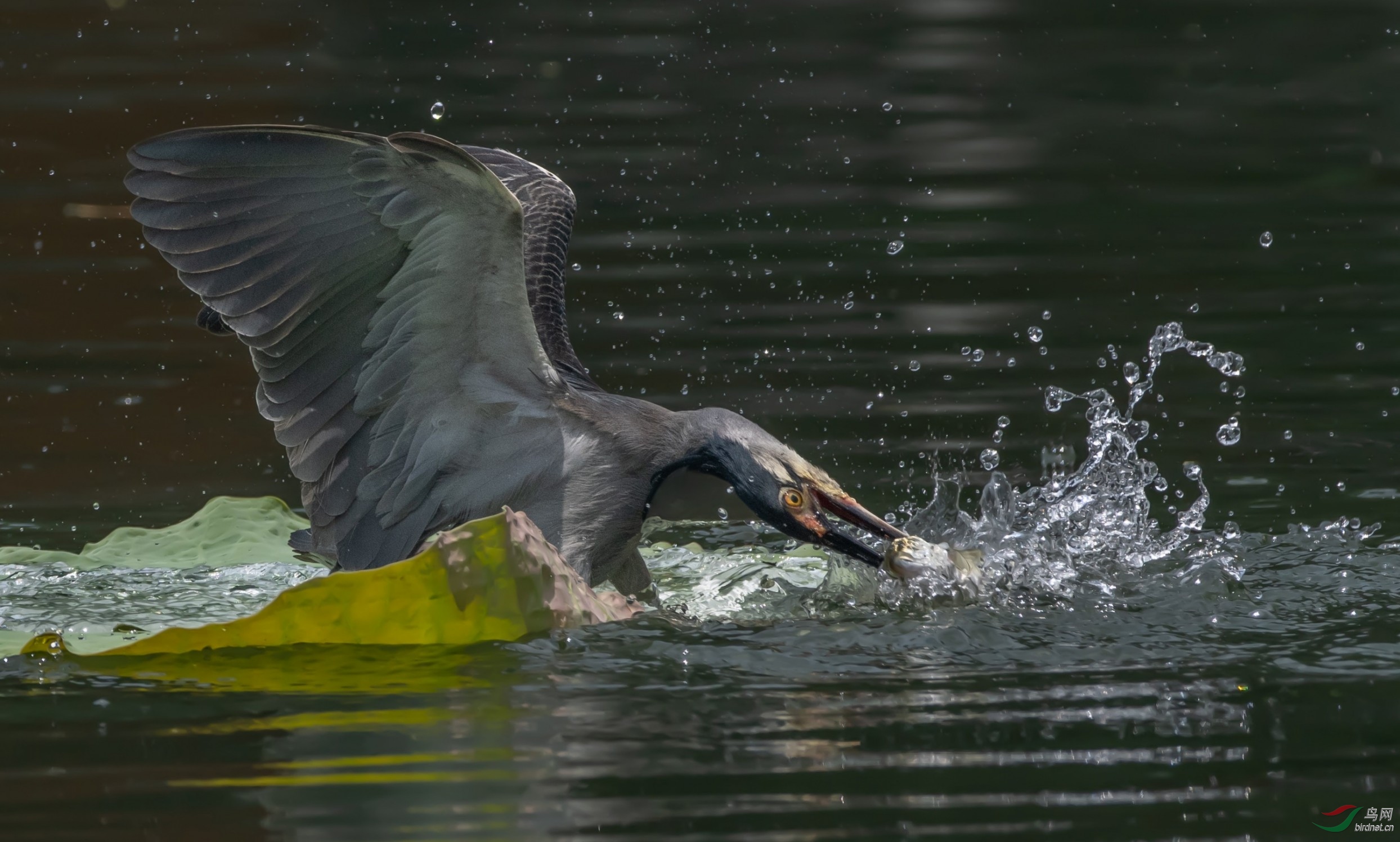 2020�����������ز���