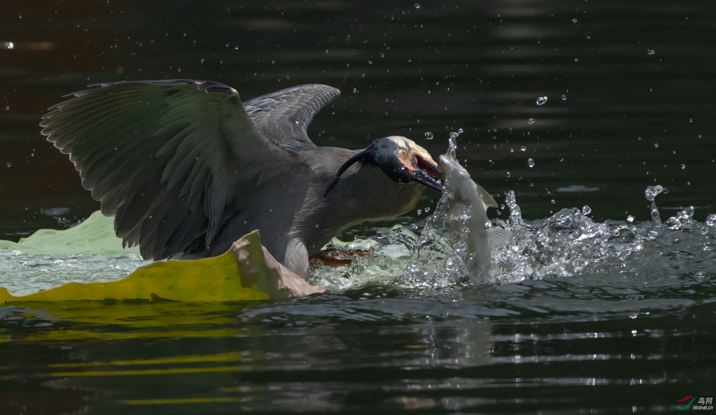 2020�����������ز���