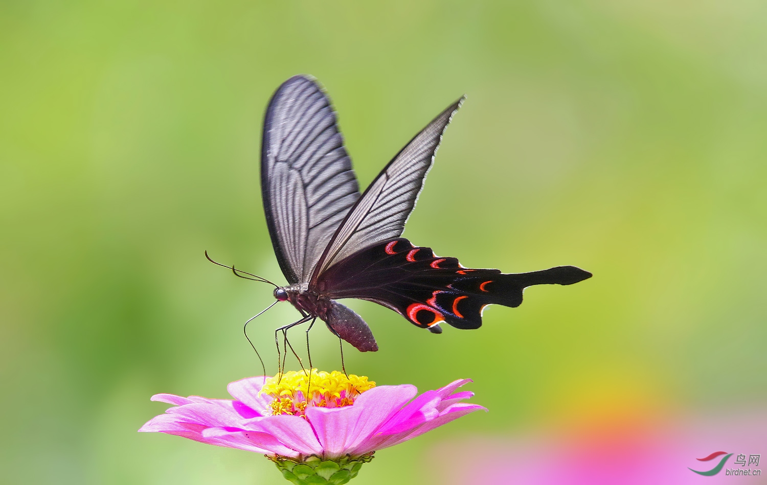 6U3A7863.jpg