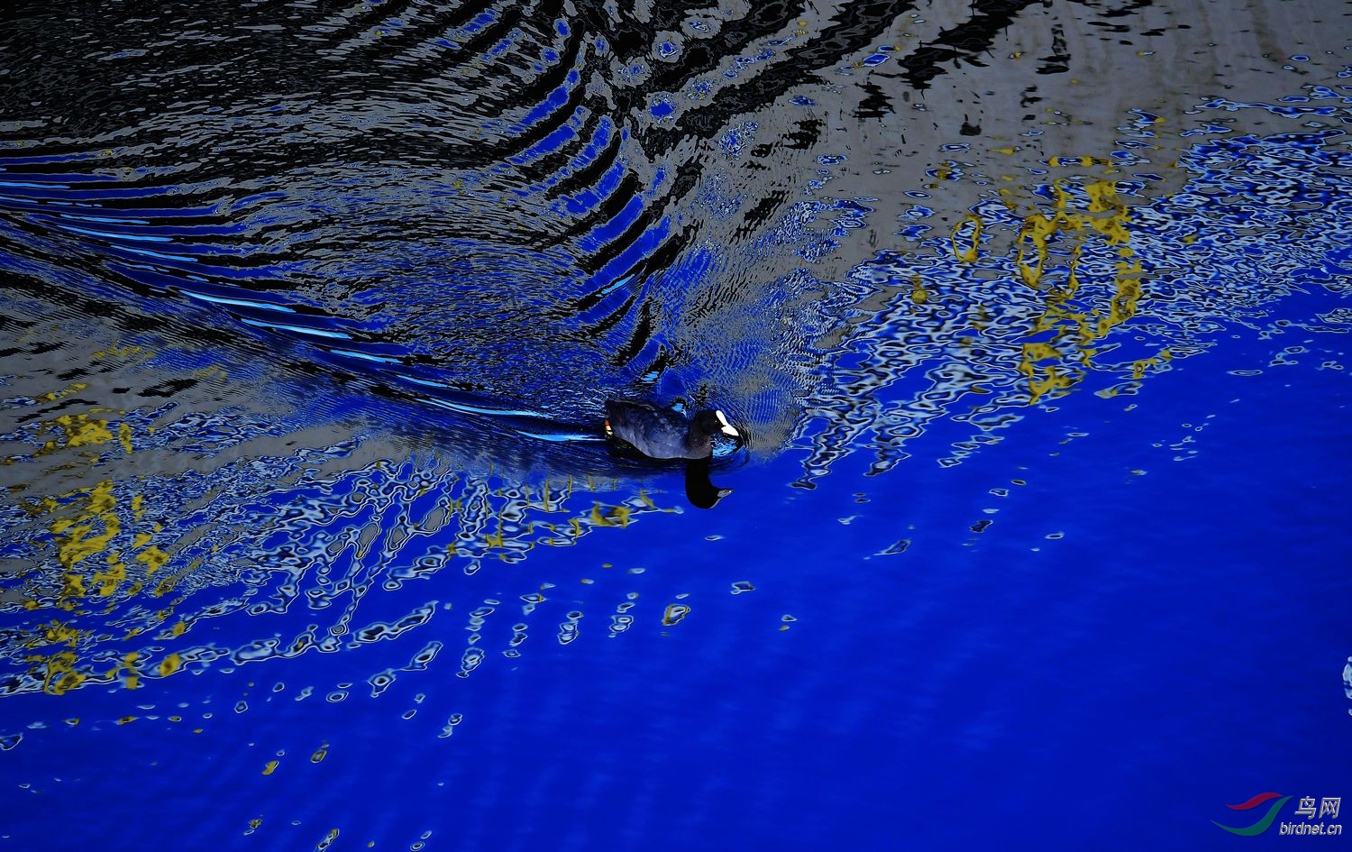 DSC_2038.JPG