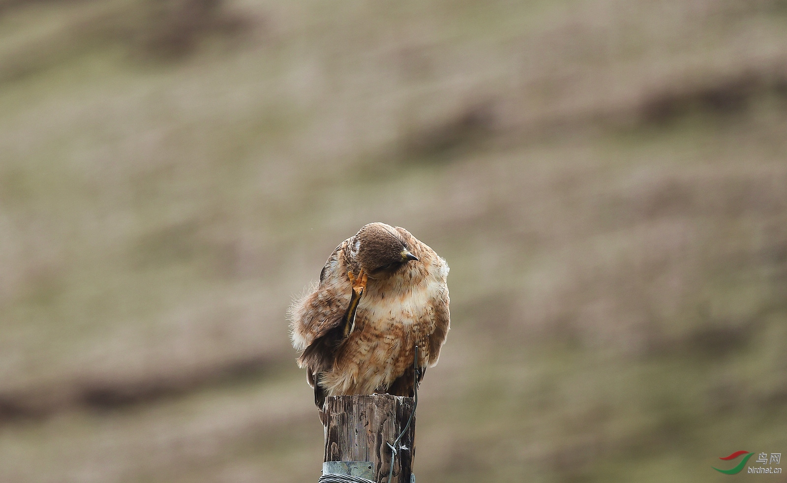 DSC_8634.jpg