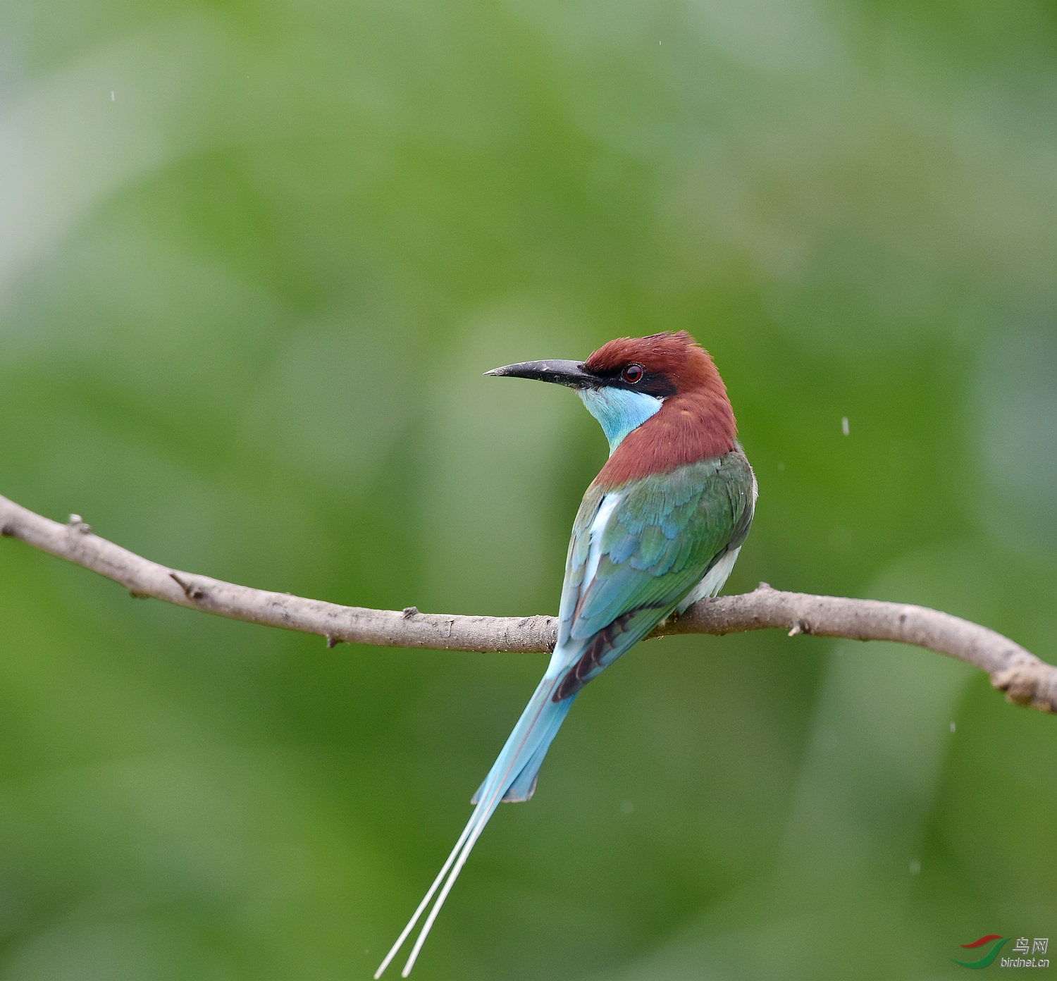 D8I_5279.jpg