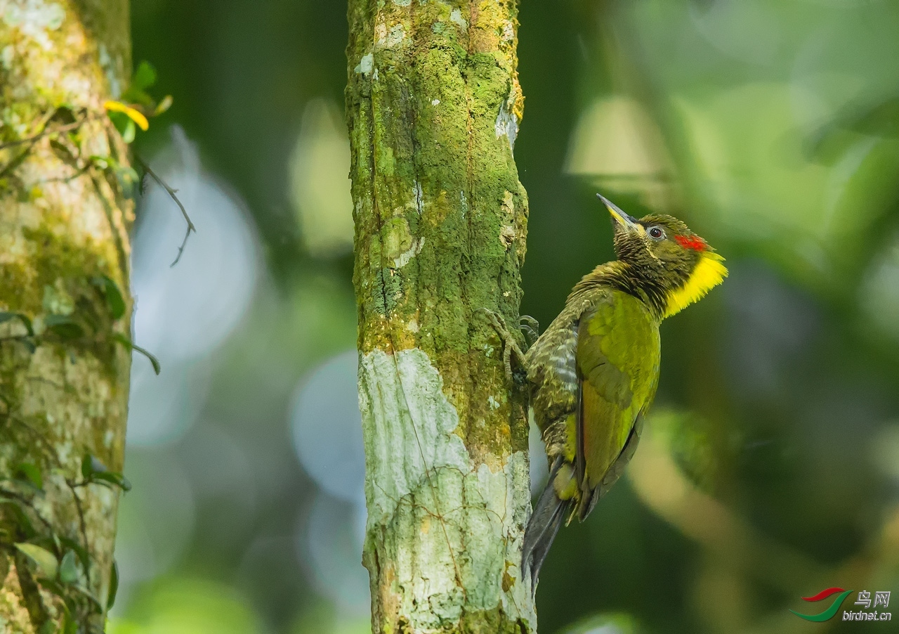 ���� ��ʦ���㣨��.jpg