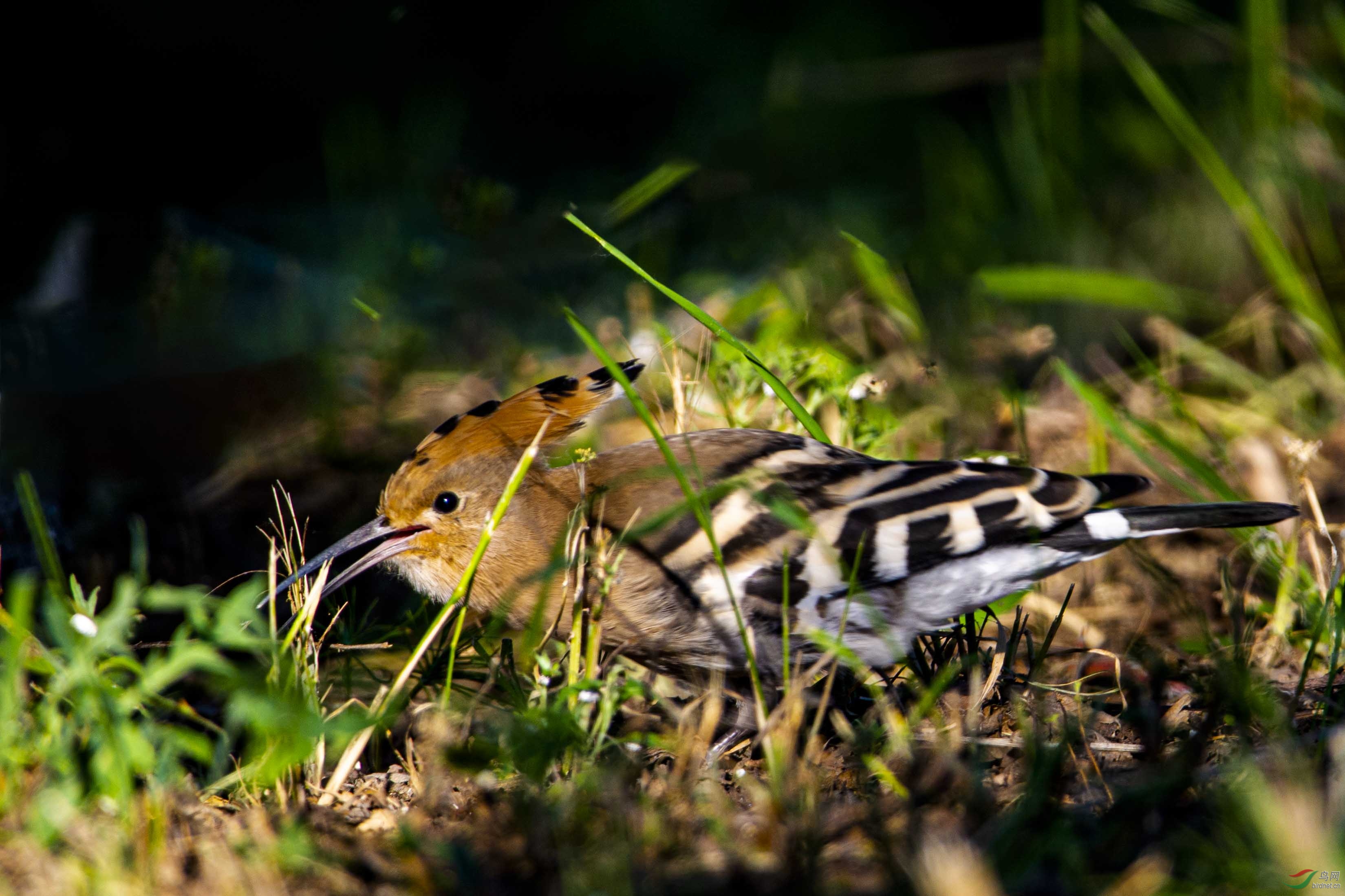 С������