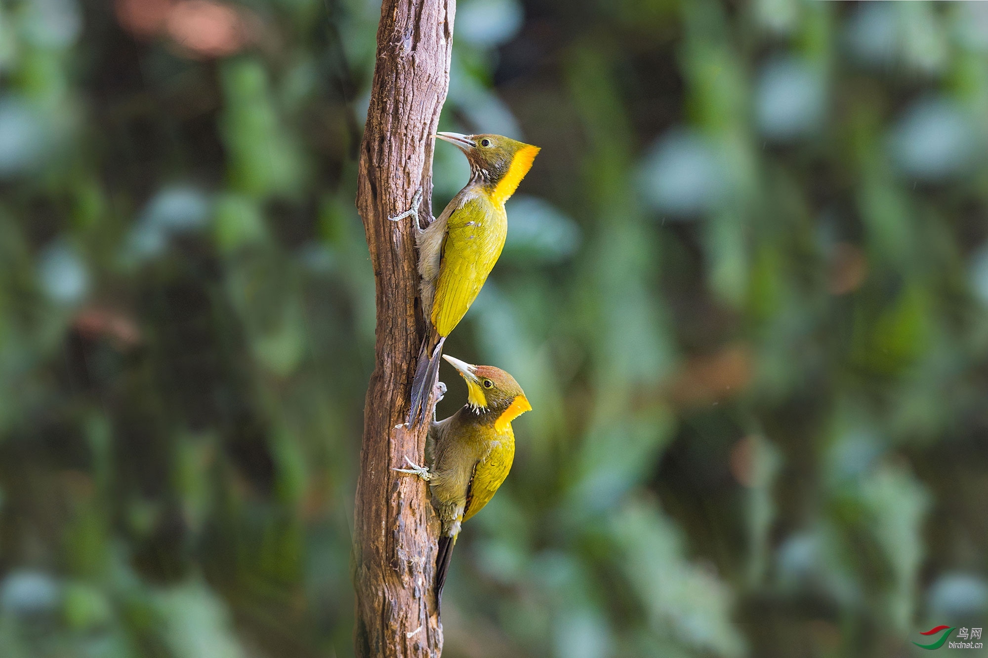 �ﺮ  ��ʦ����������ʡ��ɽ�У�����.jpg