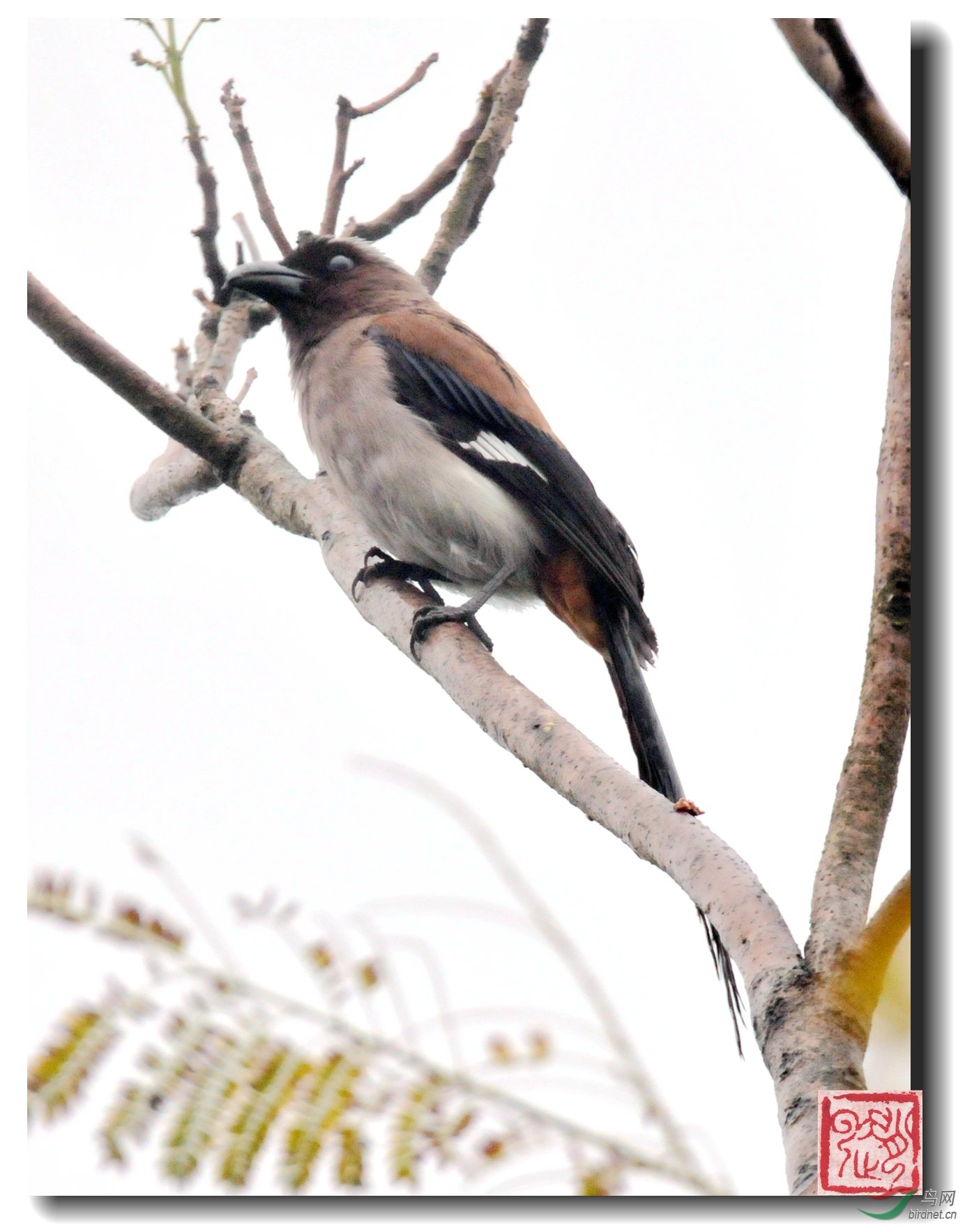 照片 712_副本_副本.jpg