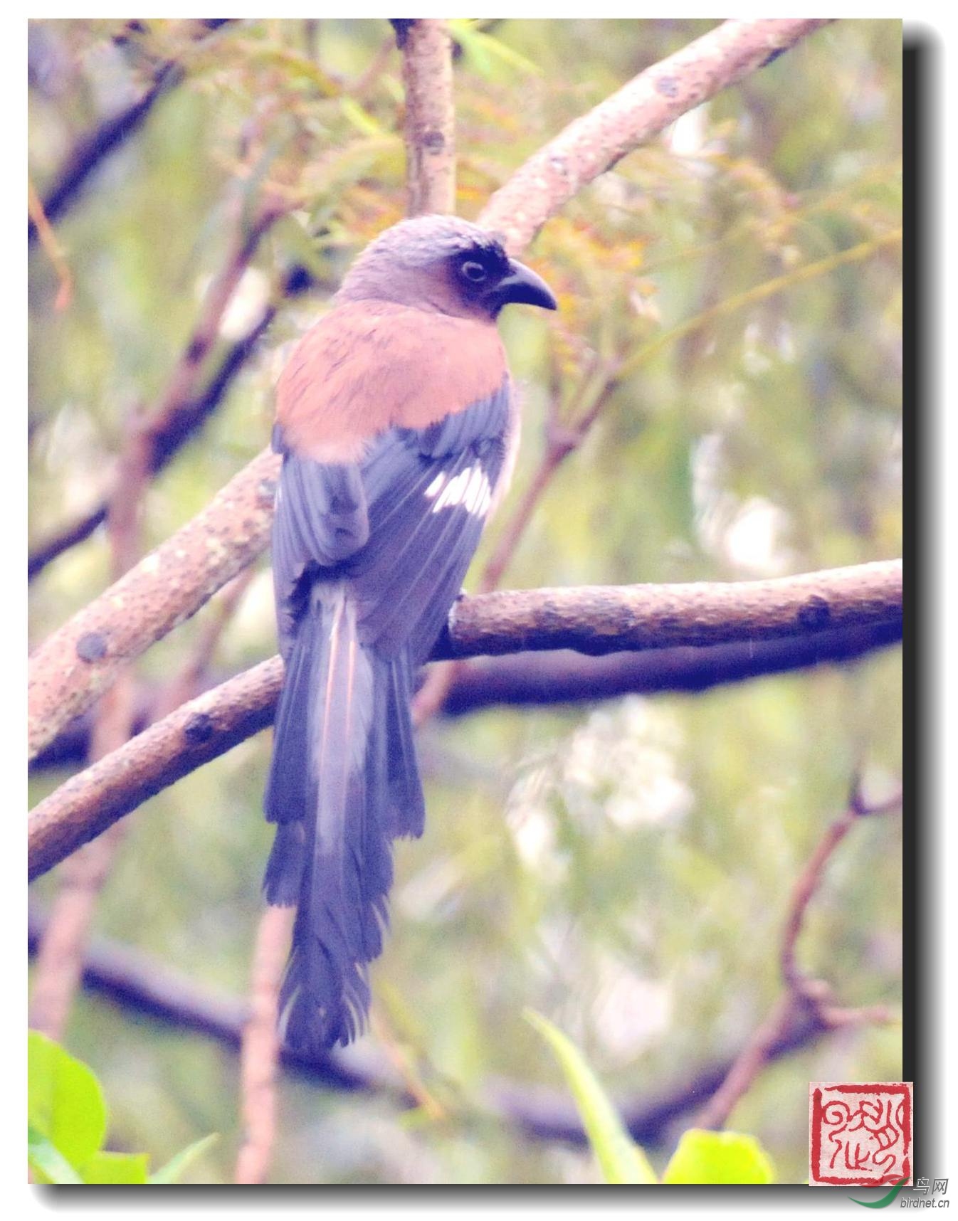 照片 704_副本_副本.jpg