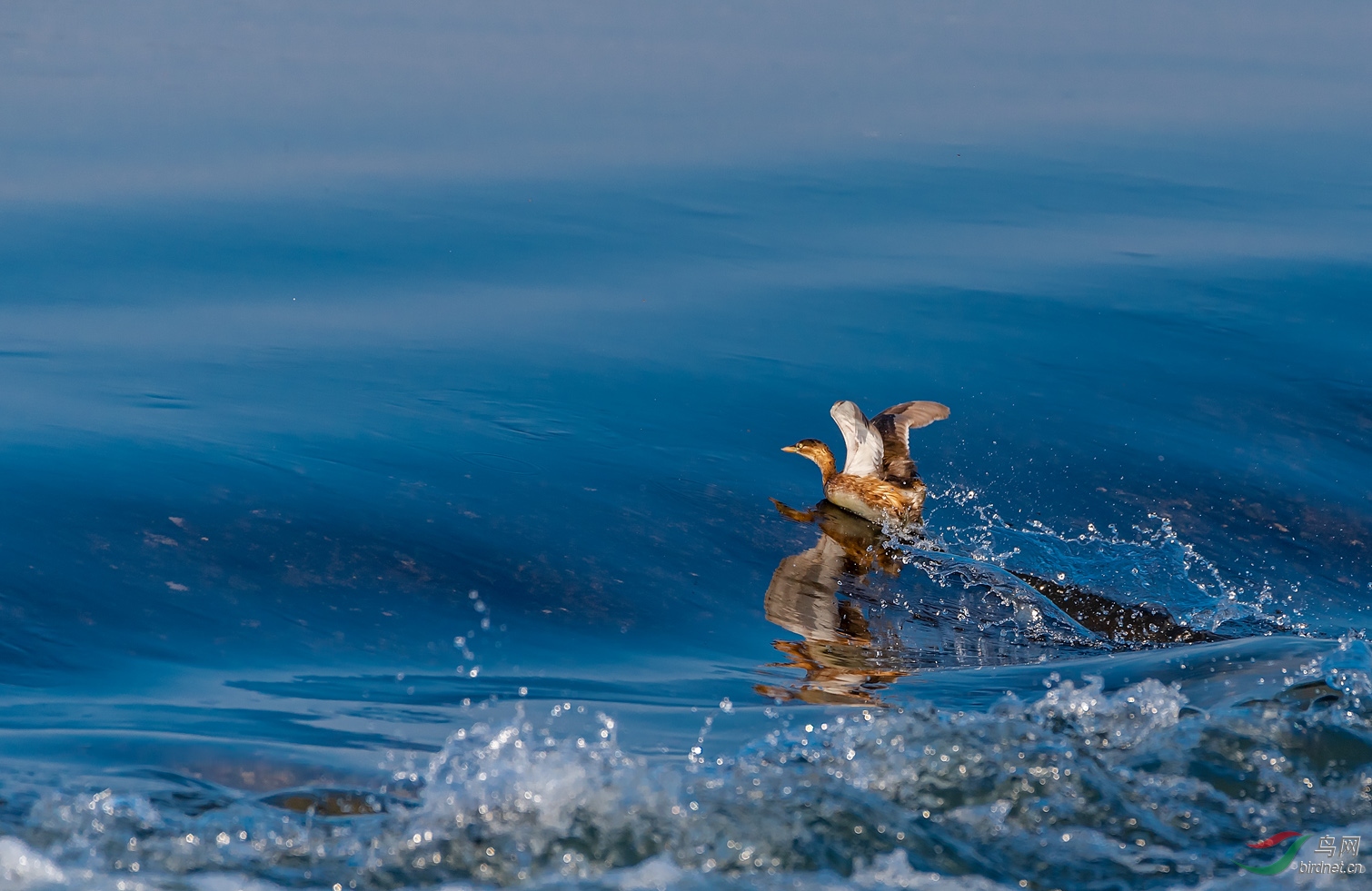 ����