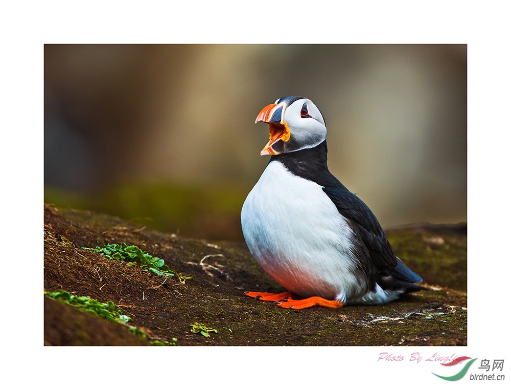 DSC_0930-j.jpg