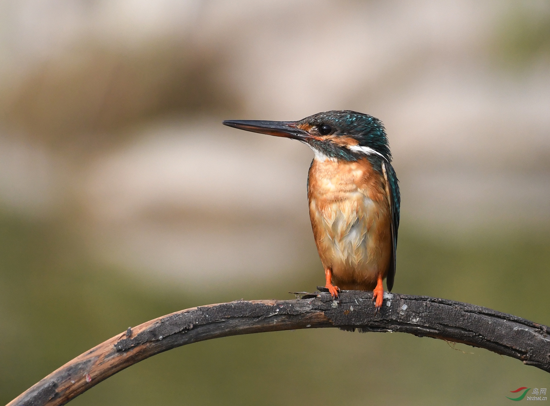 ������Ӱ 160����.jpg