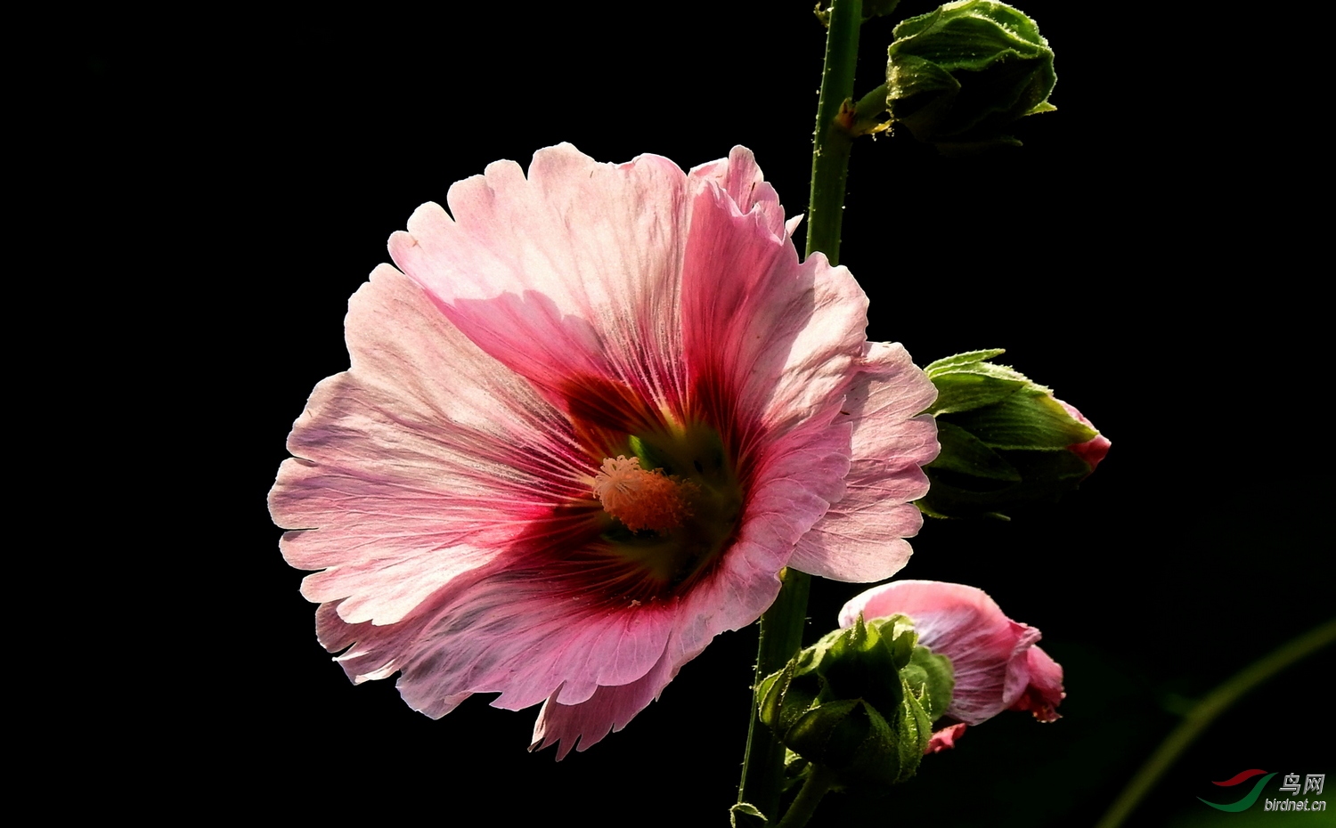 DSCN3995.JPG