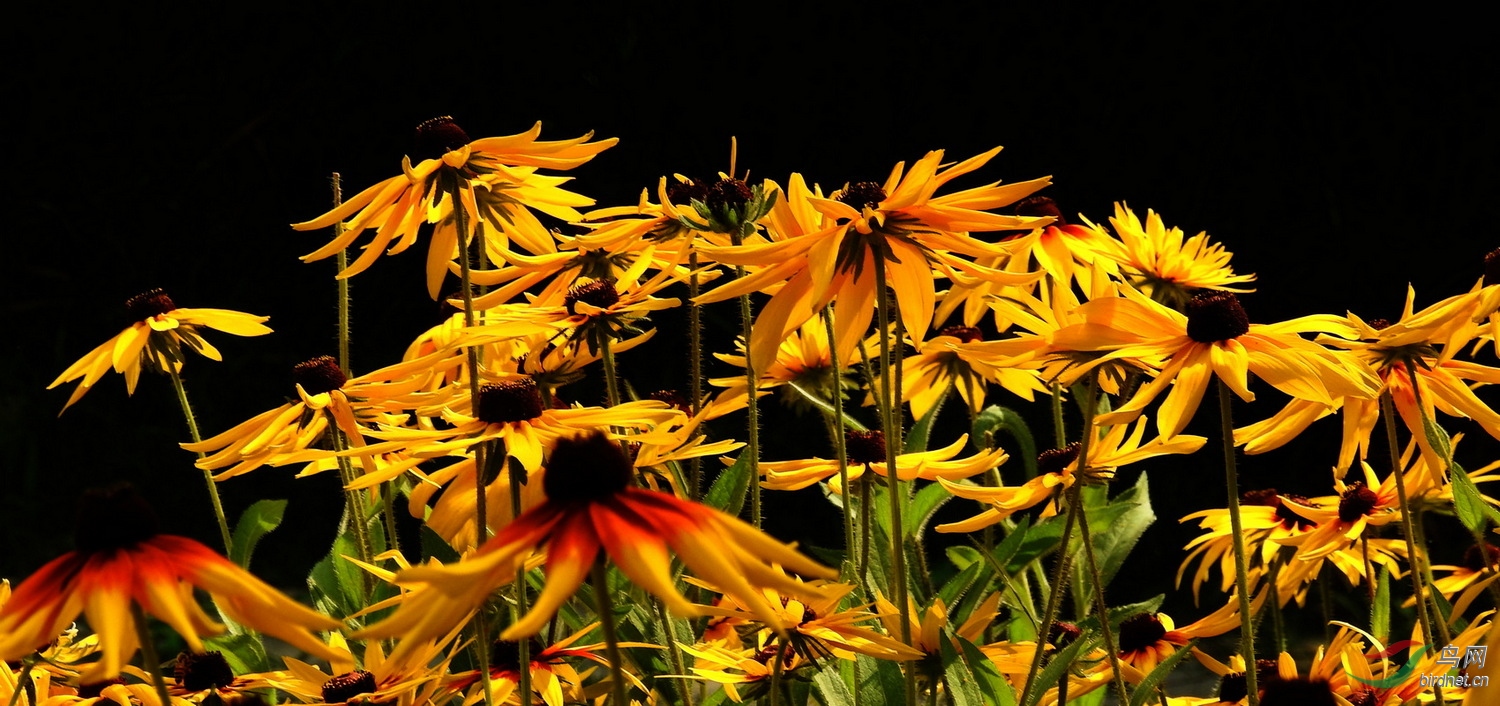 DSCN4798.JPG