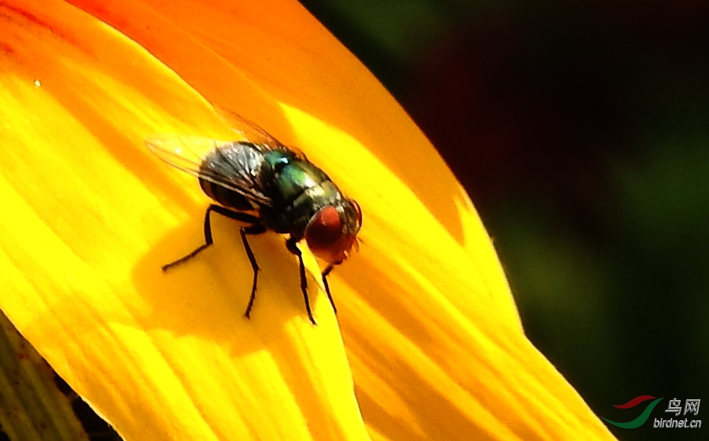 DSCN4678.JPG
