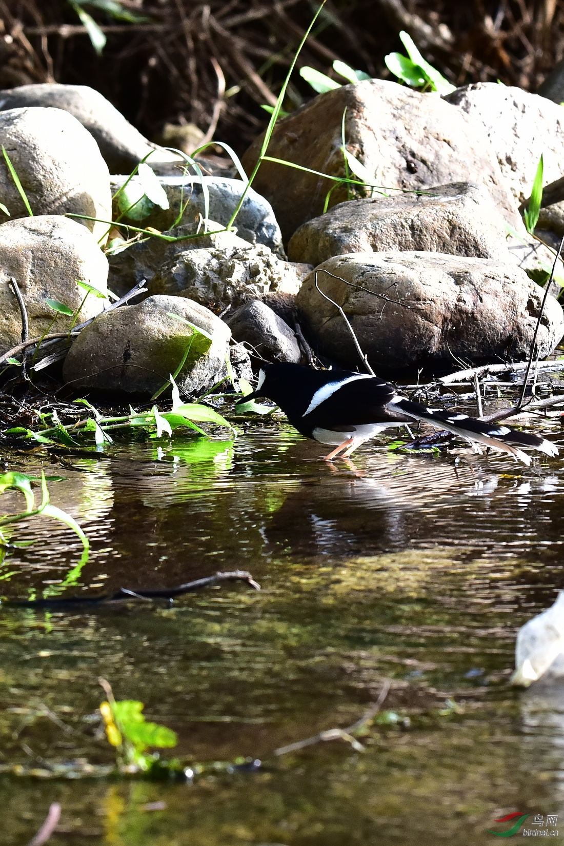DSC_0277.JPG