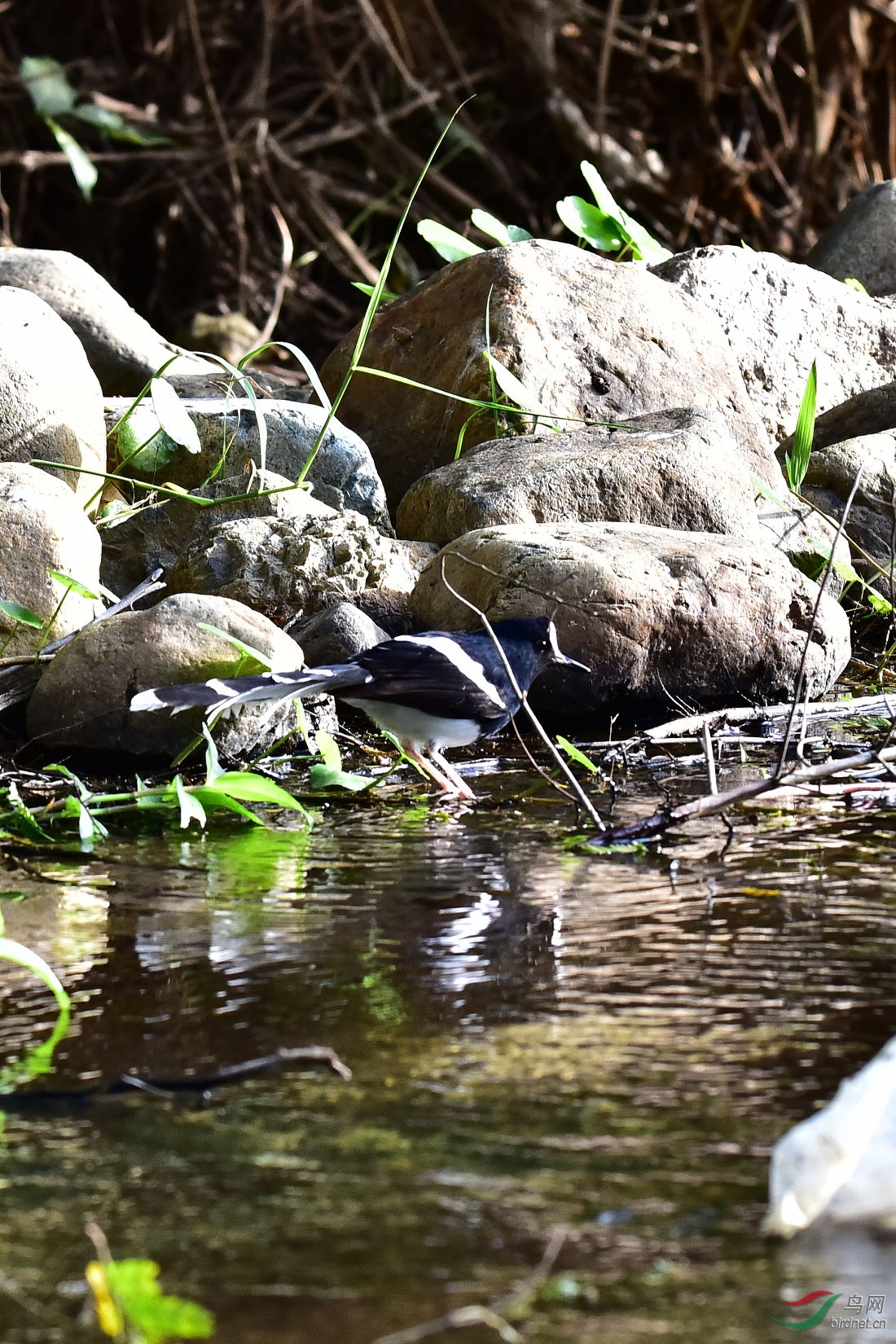 DSC_0278.JPG
