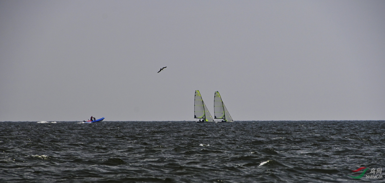 ����-1600.jpg