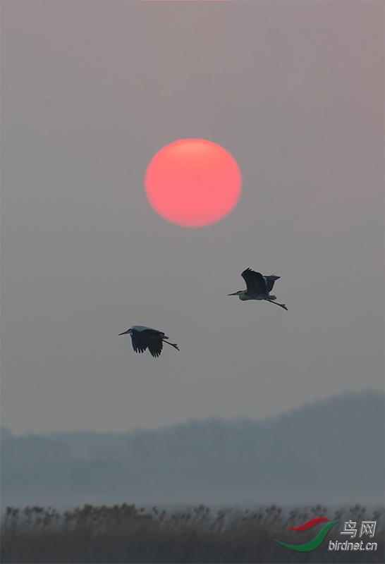 20200418 (189)-Pano.jpg