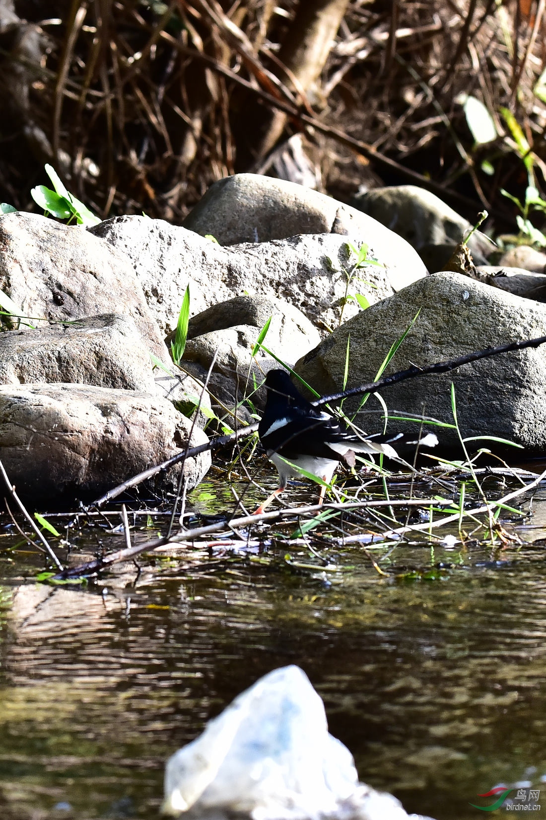 DSC_0281.JPG