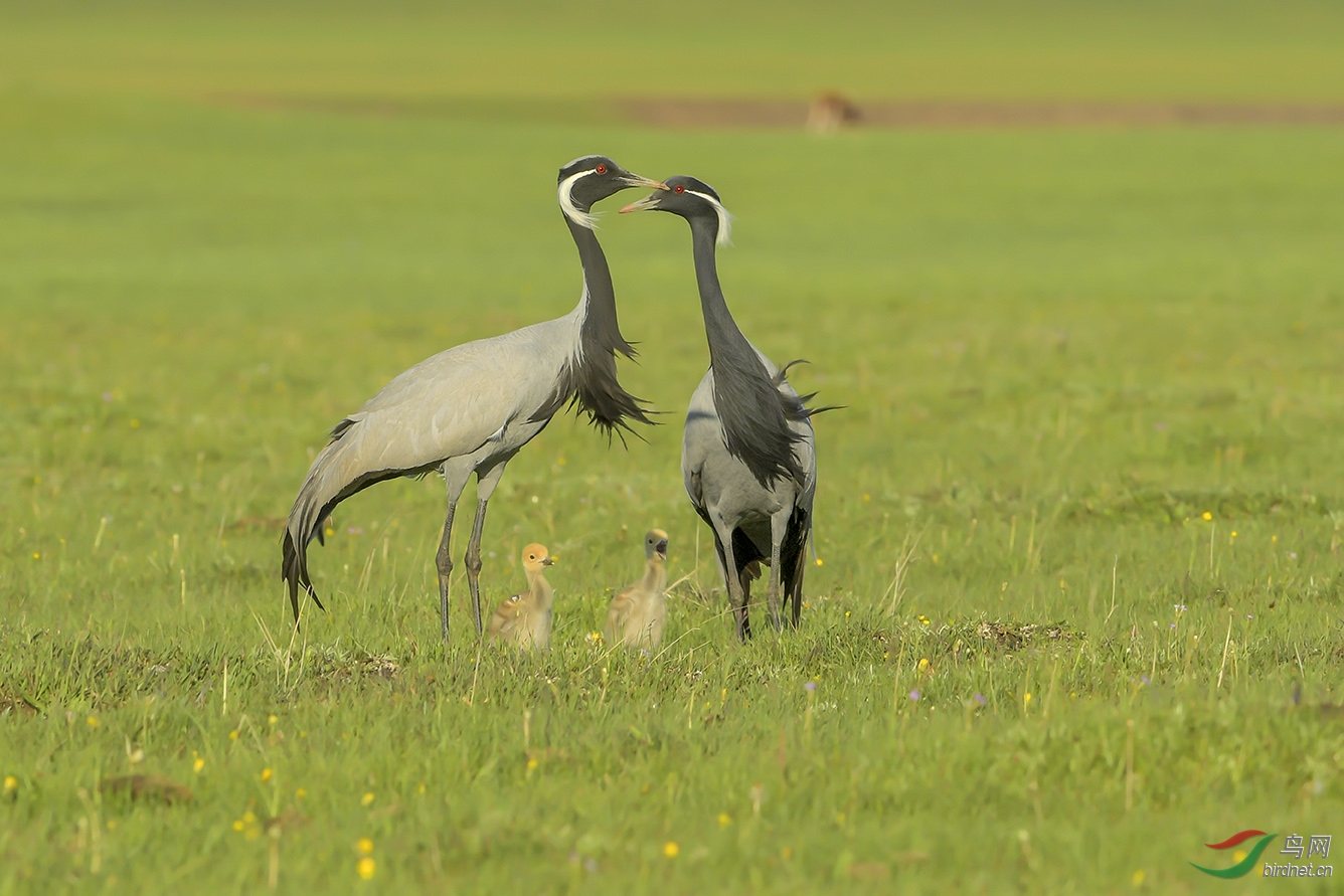 DSC_7831-2.jpg